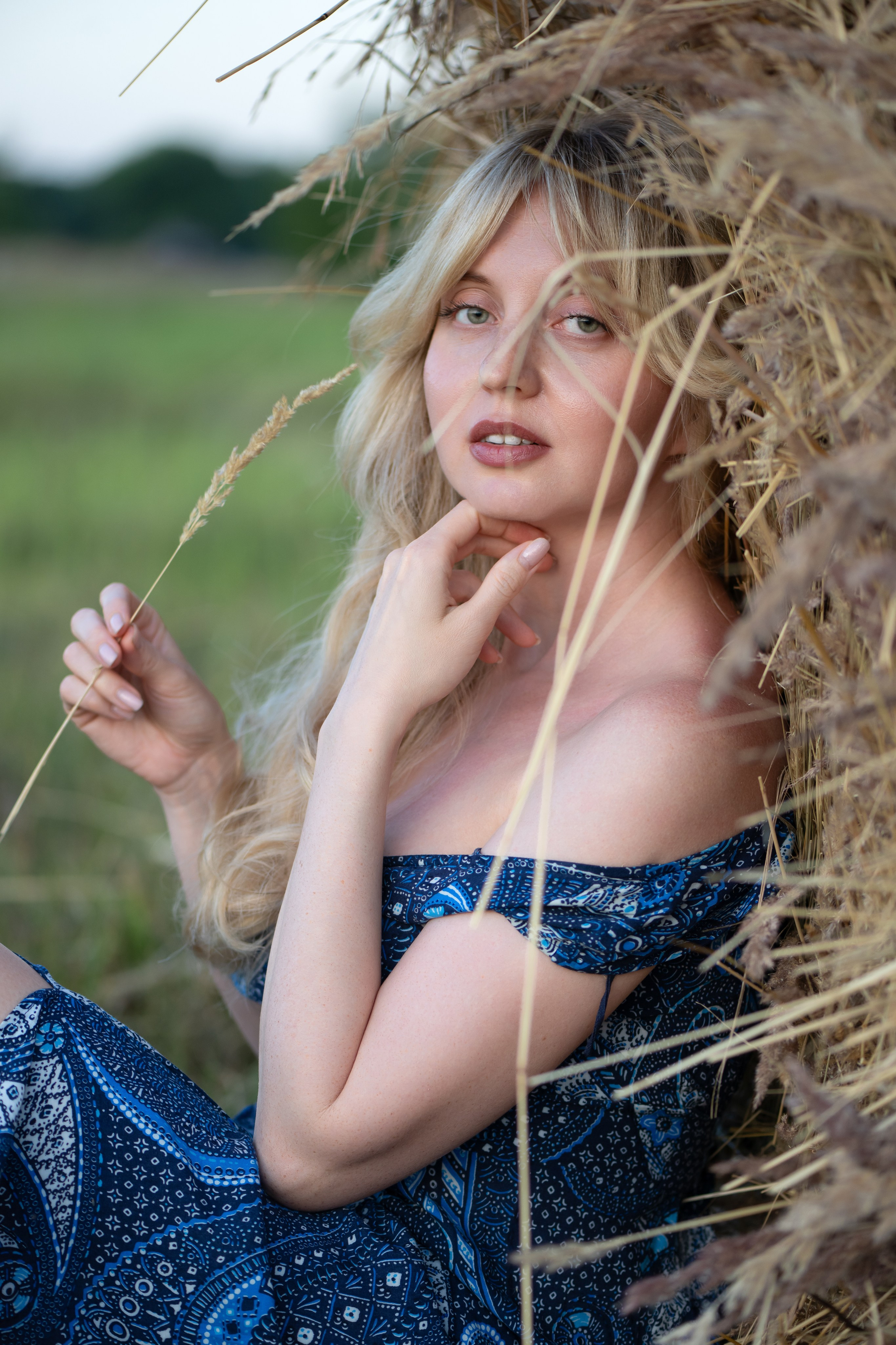 Сено-солома. Главная