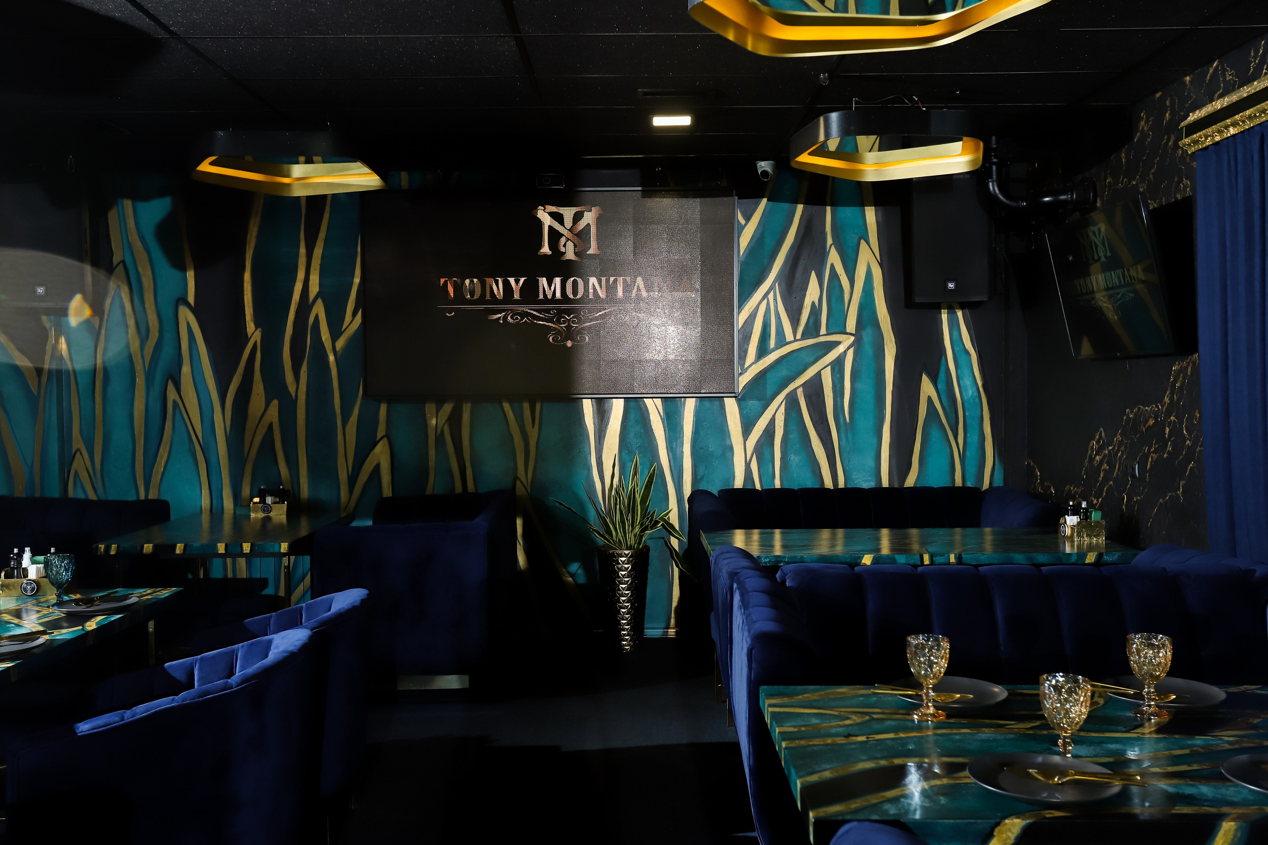 Tony Montana. Фотограф в Краснодаре Анна Светикова