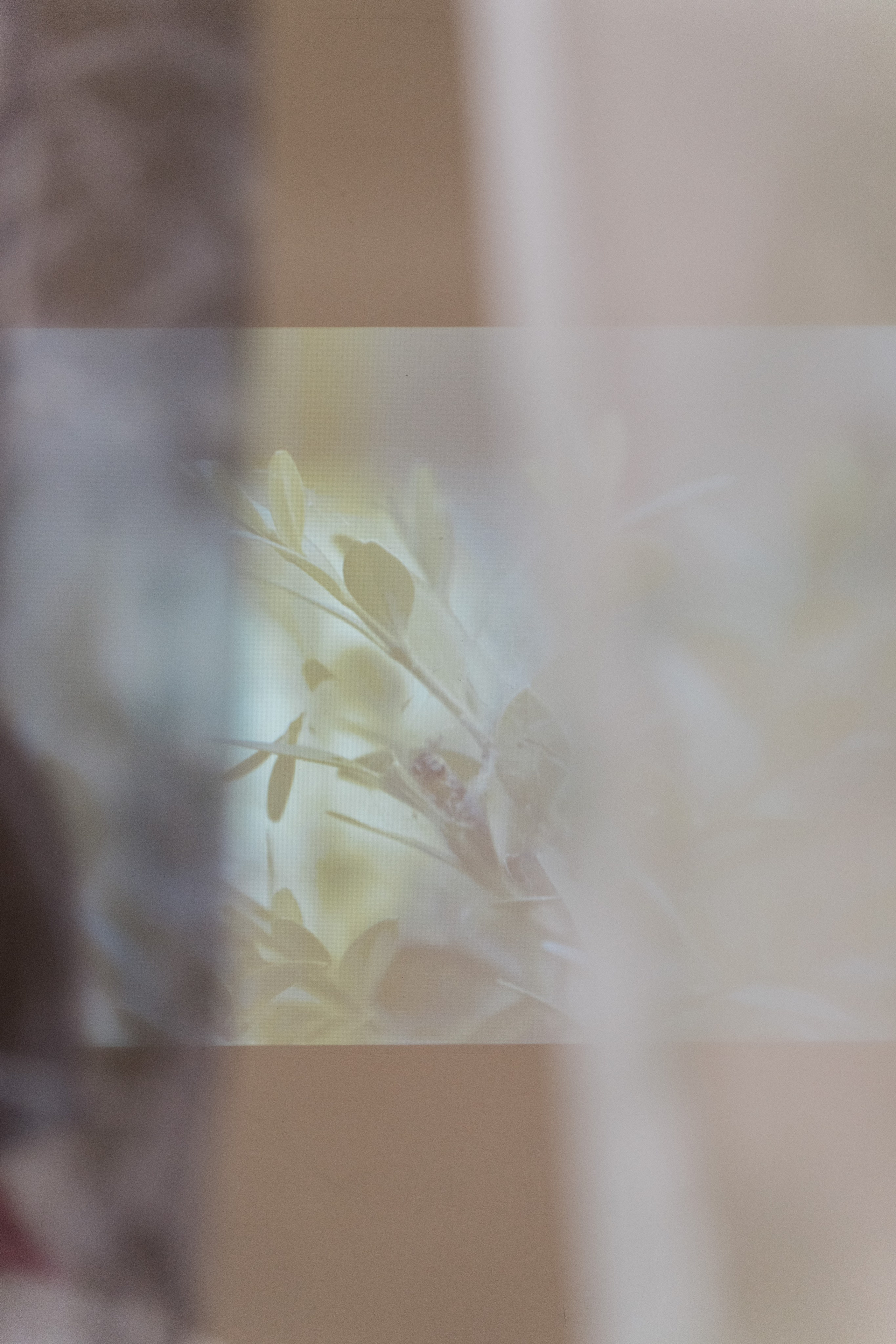 An Island Surrounded by Land. HOME