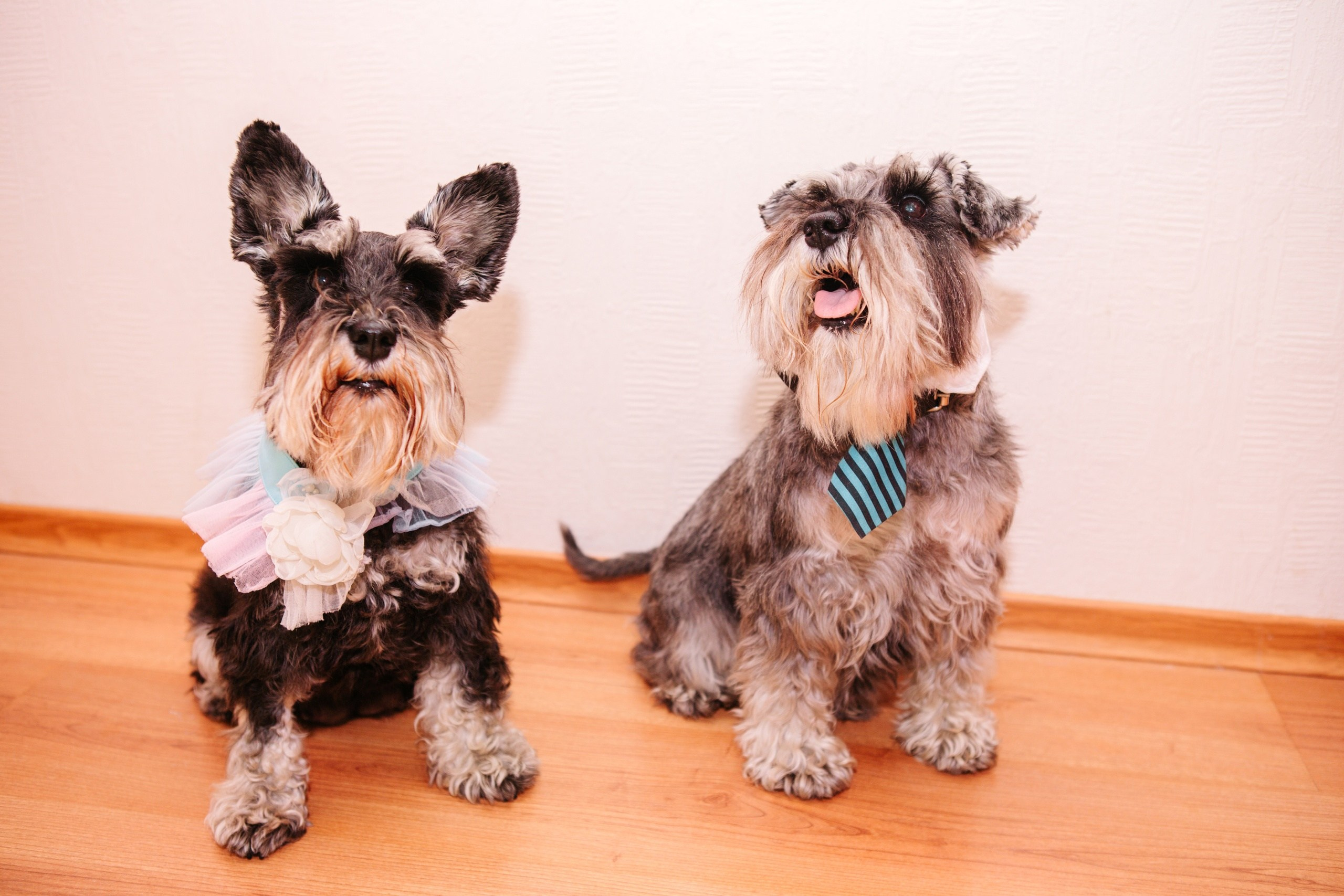 Дни рождения (кафе, агенства, рестораны). Семейный и свадебный фотограф в Воронеже Майя Добровольская
