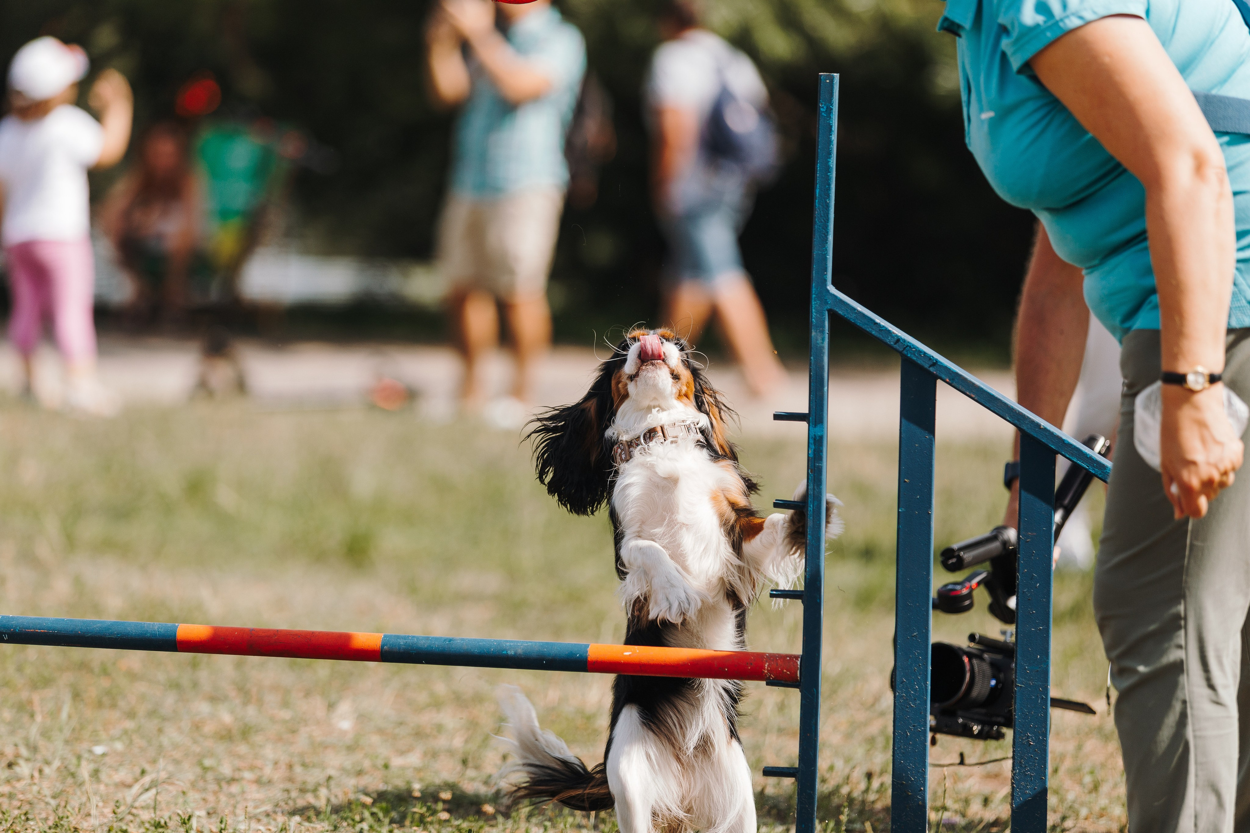 Petshop Sup day. Фотограф анималист Кристина Карпова, Москва