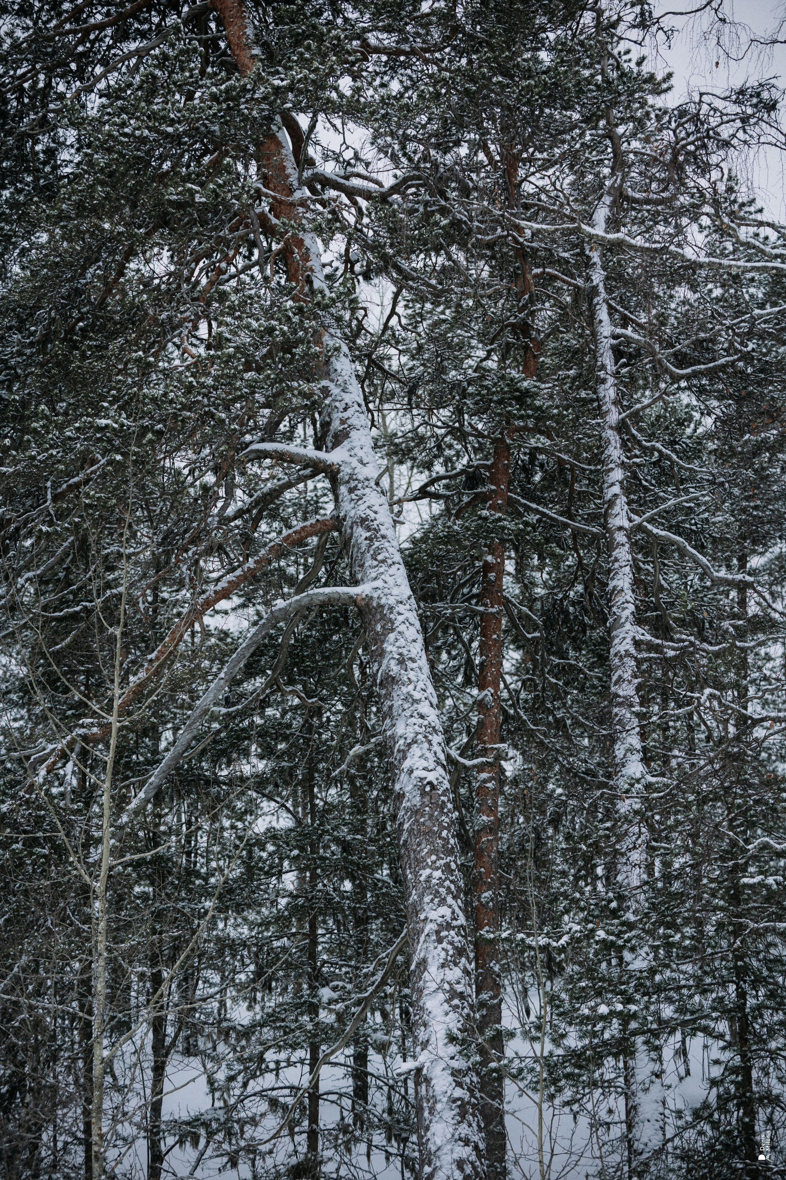 Прогулка по озеру. Портретный фотограф Денис Милютин