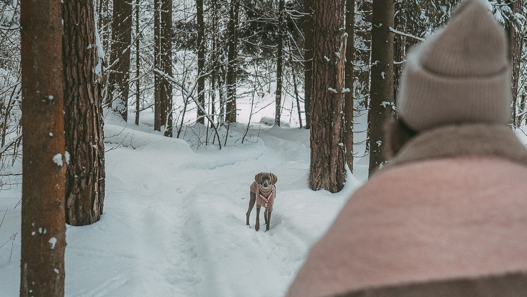 Лена и Фанни. Фотограф анималист в Москве и Санкт-Петербурге Свиридова Анна