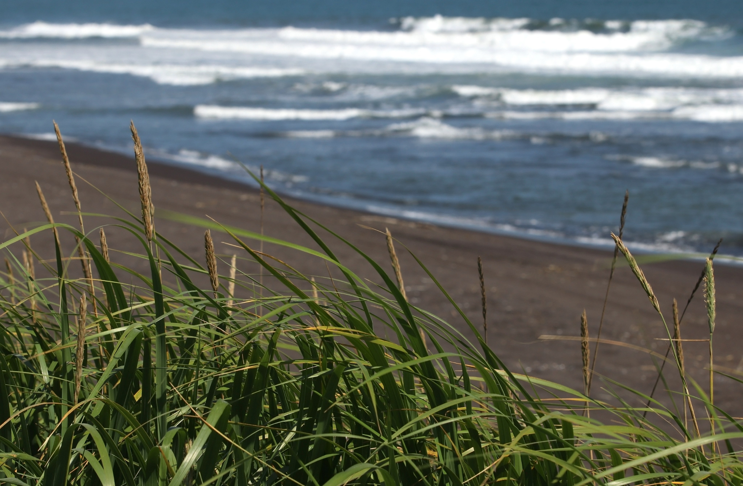 Камчатка и о. Парамушир. Июль 2024. Путешественник-фотограф из Санкт-Петербурга Татьяна Свистулина