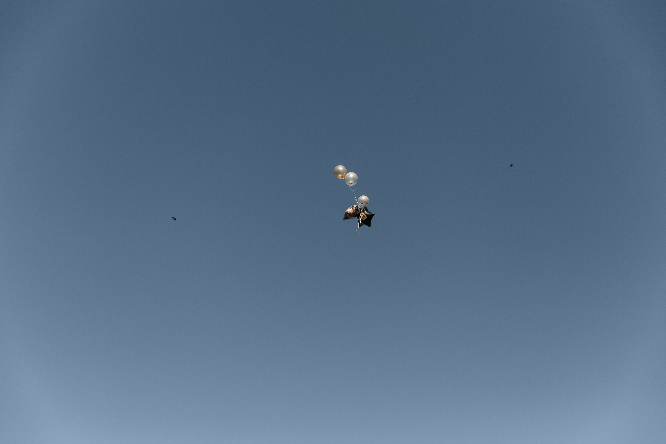 Я обещала — дождалась. Свадебный фотограф Кропоткин Краснодар