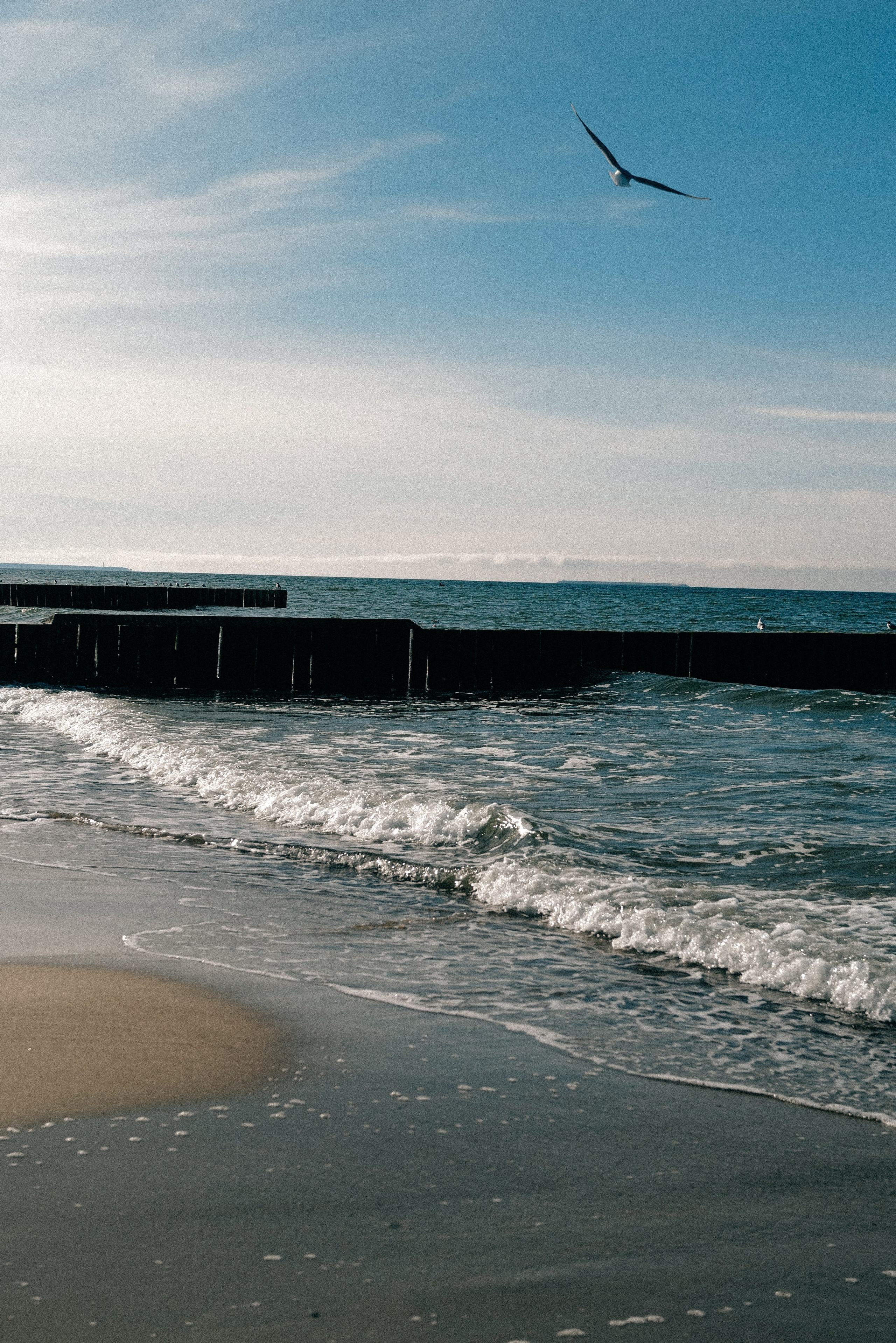 Zelenogradsk. Фотограф София Комкина