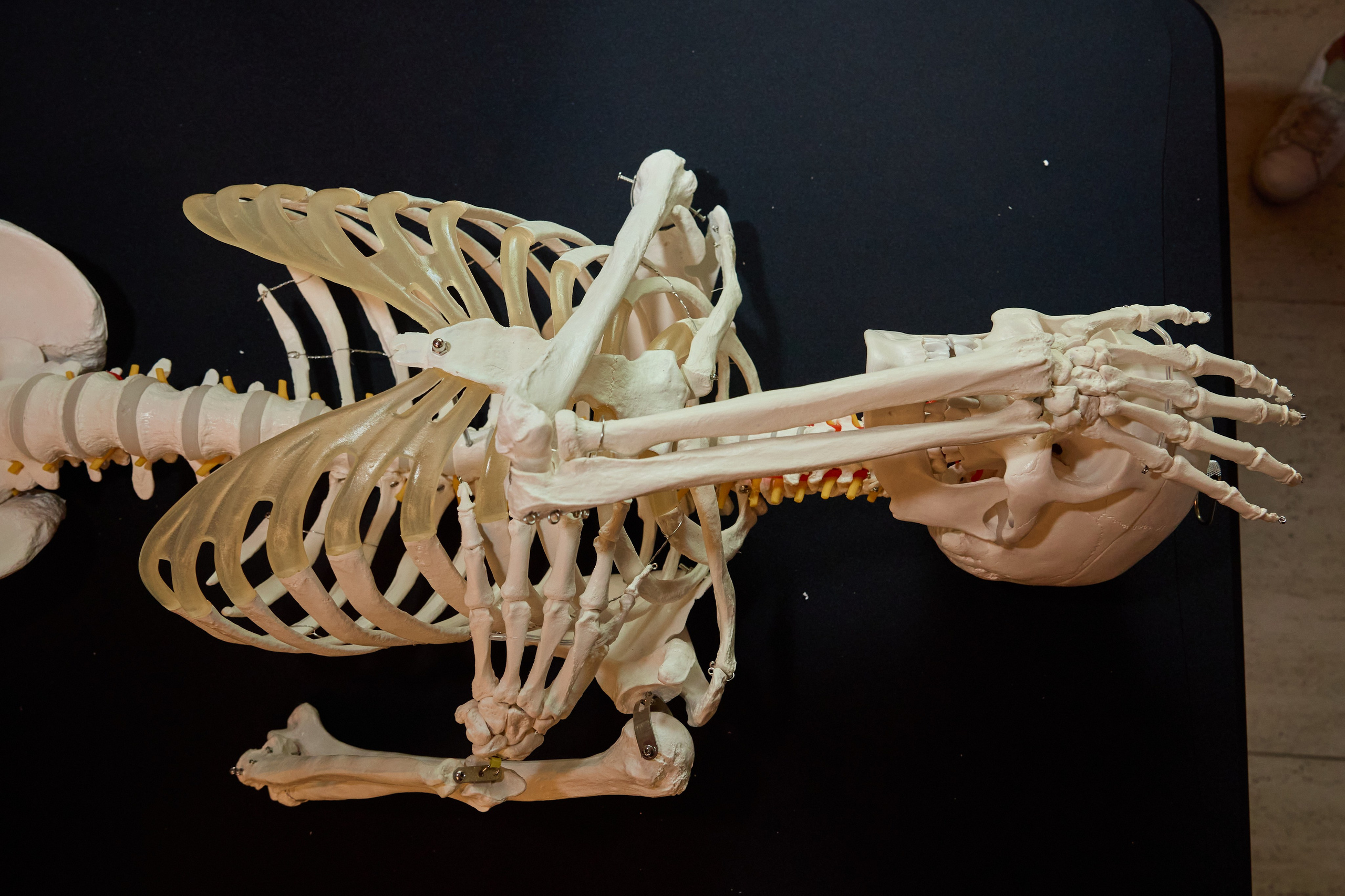 репортажная фотосъемка конференция репортажный фотограф москва екатеринбург калининград 