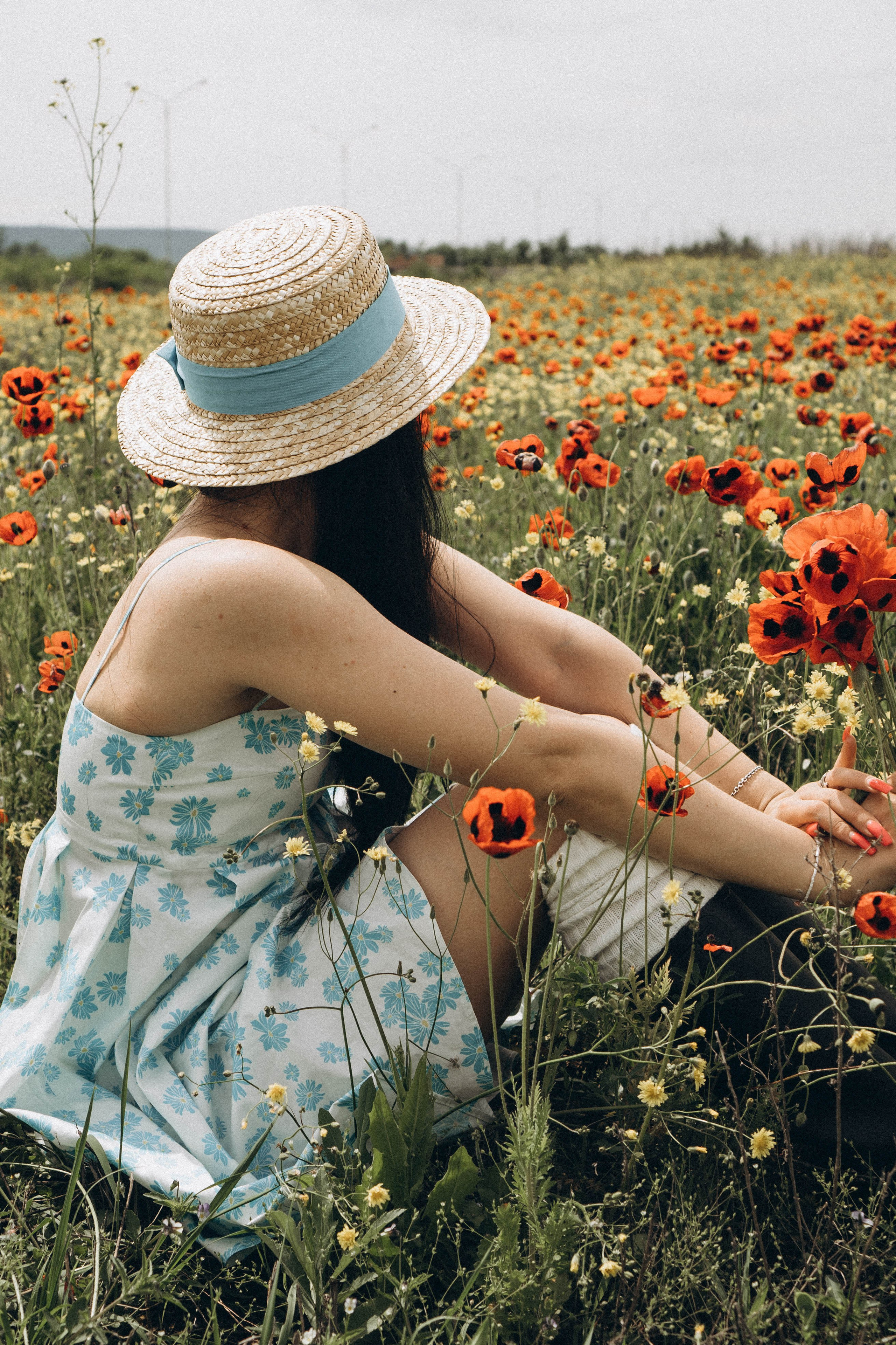 Цветочная поляна. Профессиональный фотограф, Санкт-Петербург — Виктория Богомолова