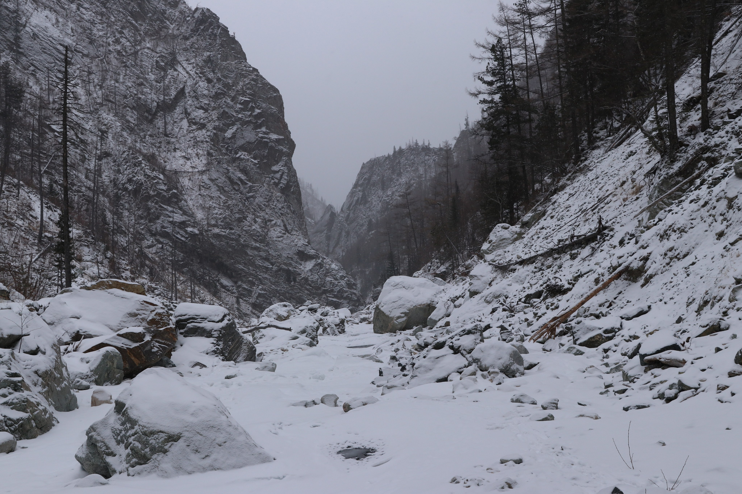 Аршан. Январь 2024. Путешественник-фотограф из Санкт-Петербурга Татьяна Свистулина