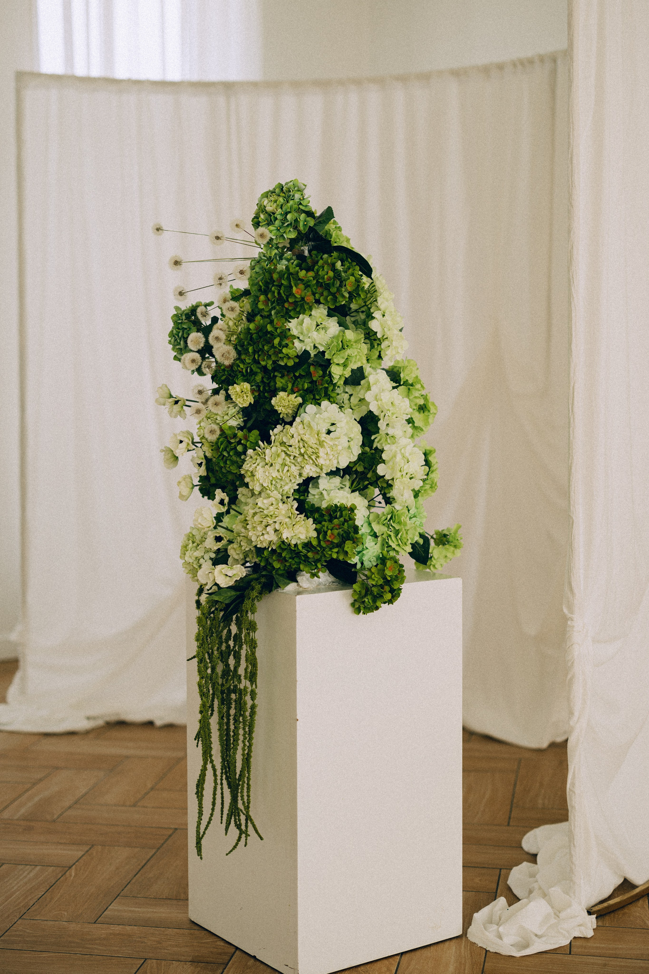 Dandelions. Daria Chigintseva Photographer