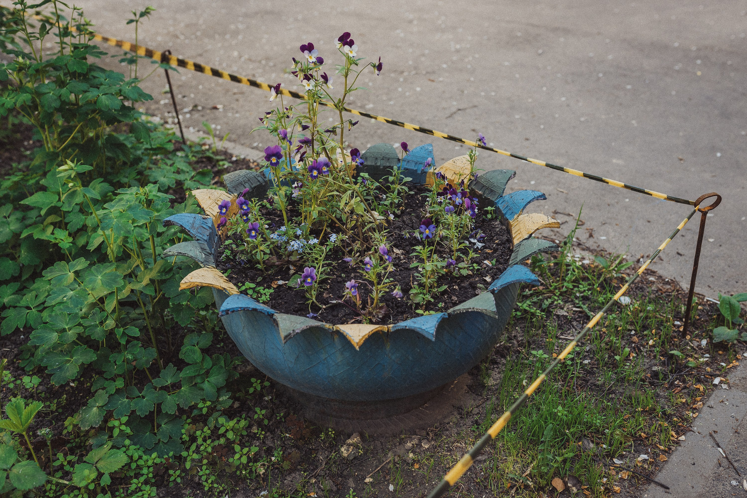 Фотопроект «ЯШина». Документальный фотограф Илья Тихановский