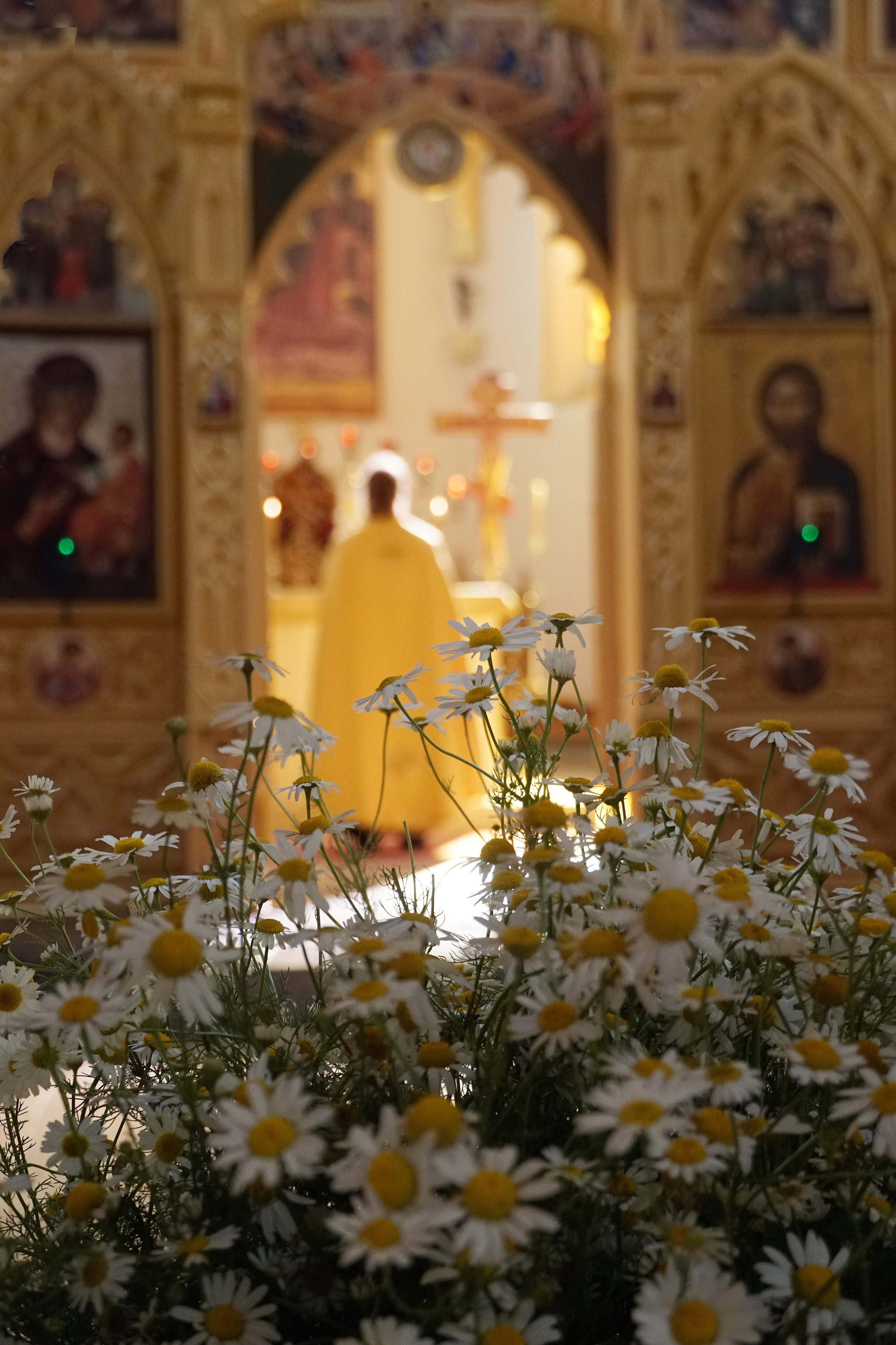 Фотограф Татьяна Рутковская Калининград