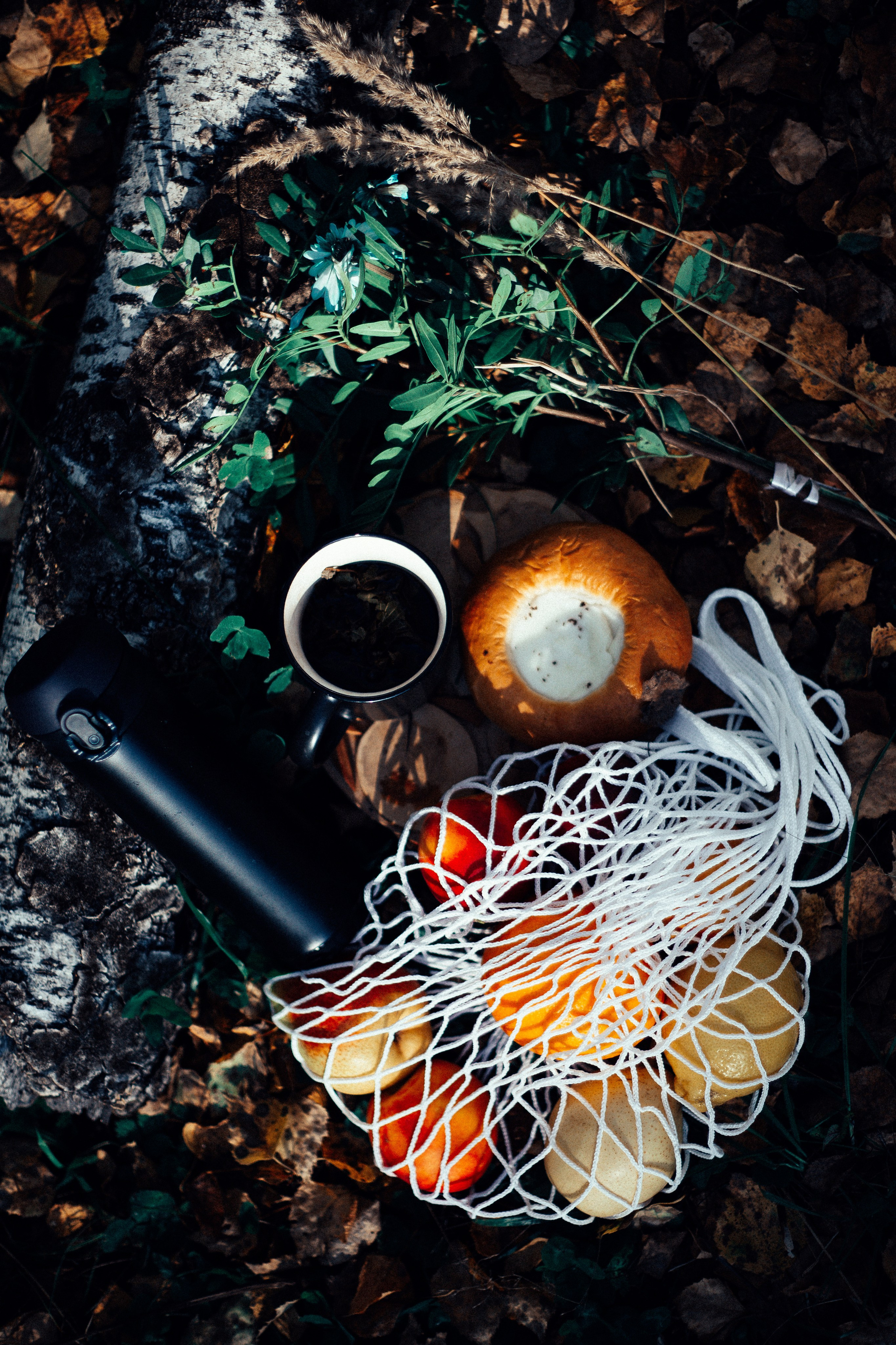 Амели на пикнике. Арт-фотограф Крис Л. в Тобольске: портрет, семейные, свадьбы