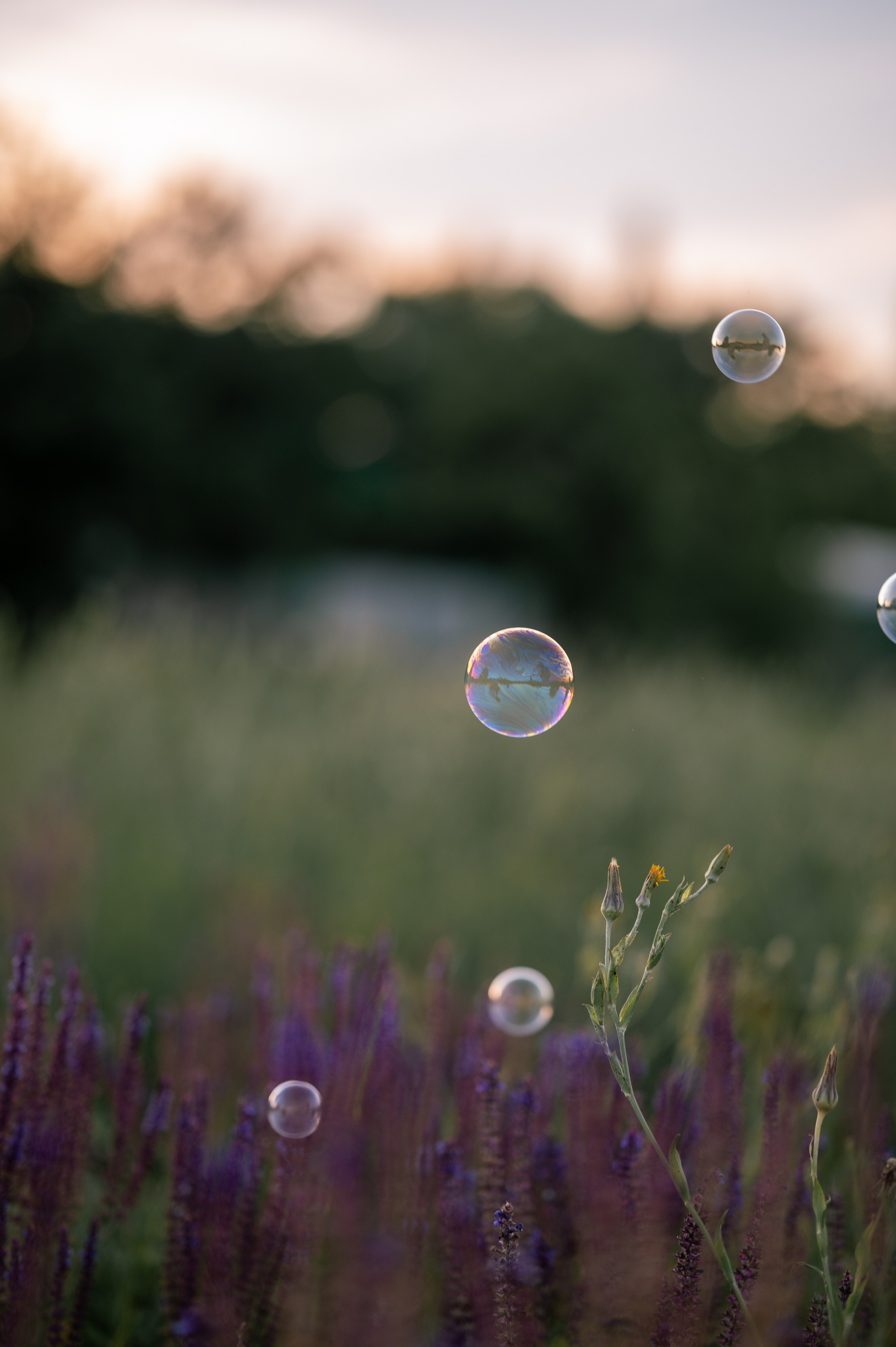 Сёстры. Ангелина & Эвелина. Свадебный и семейный фотограф в Миллерово и Ростове Алёна Черепенина
