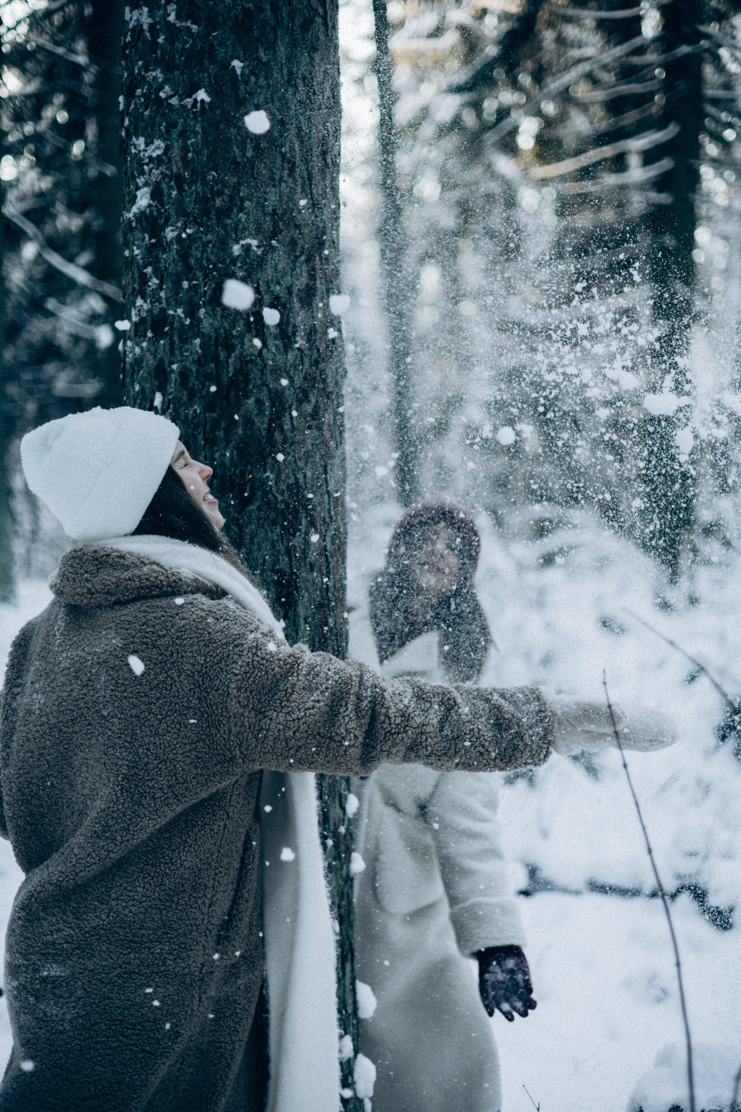 Софья и Алена. Дружба с пеленок. Комаровский берег. Главная