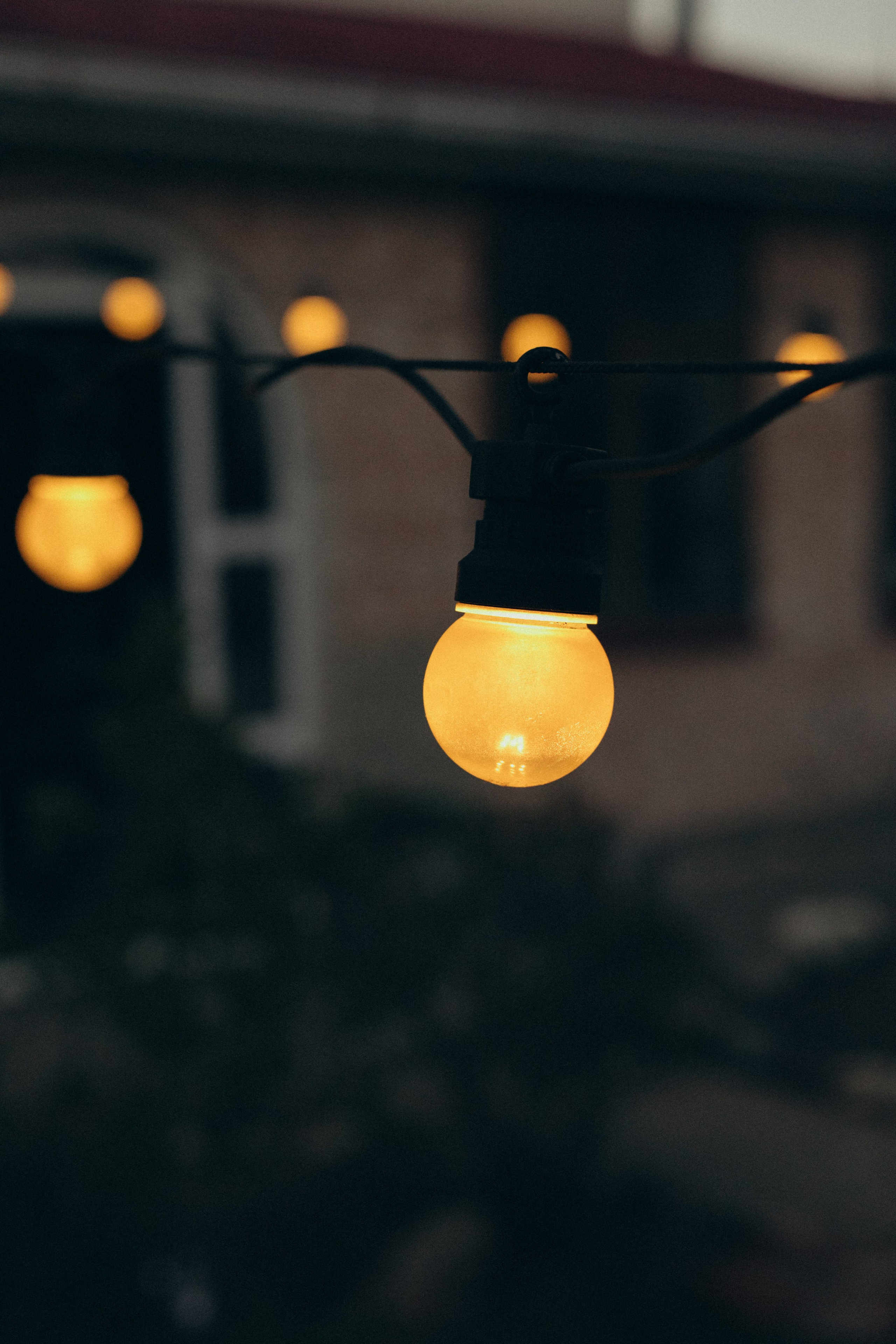 Домашняя история. Meryfotoidea