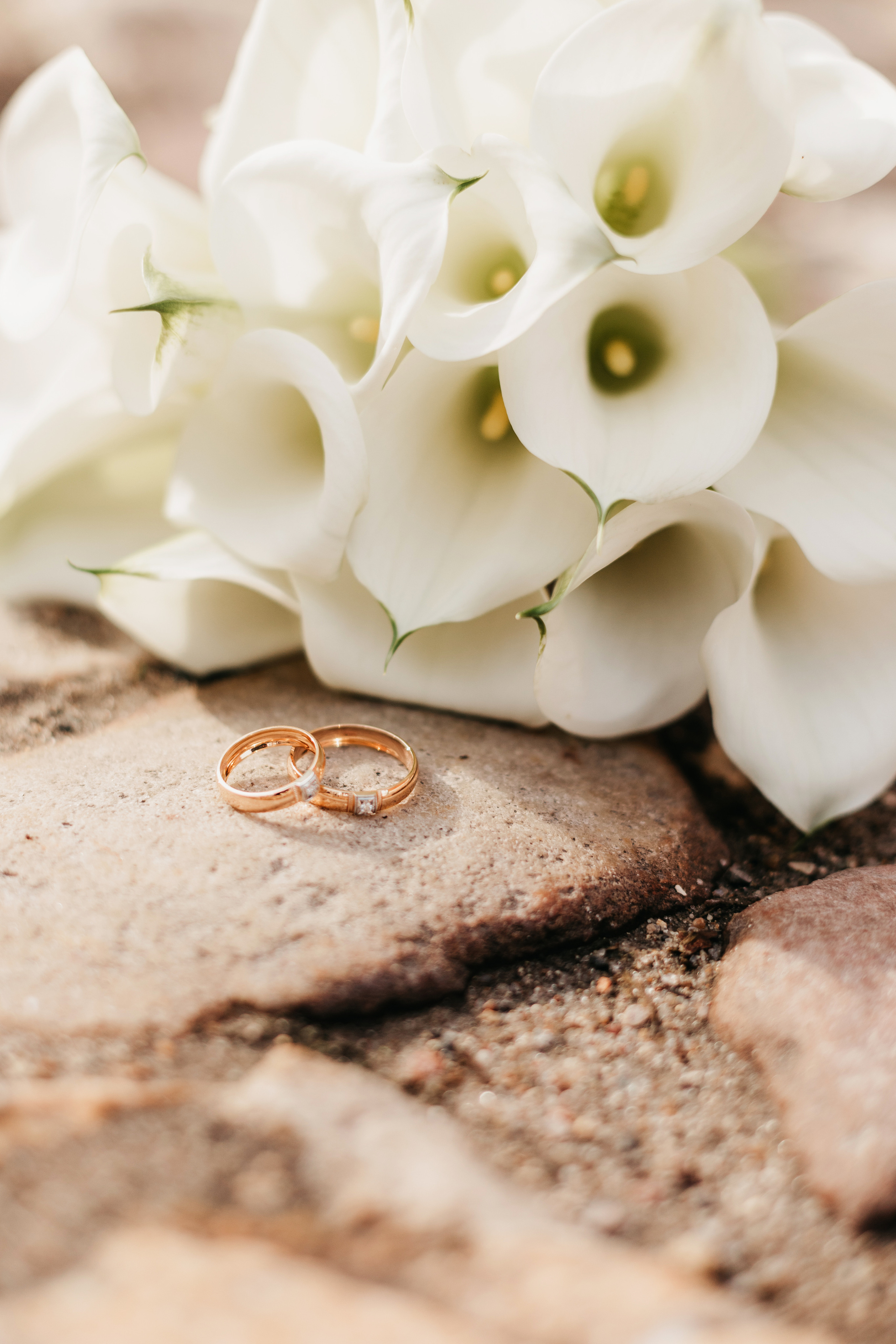 A&E. Алёна Хомич. Свадебный и семейный фотограф Коломна, Москва