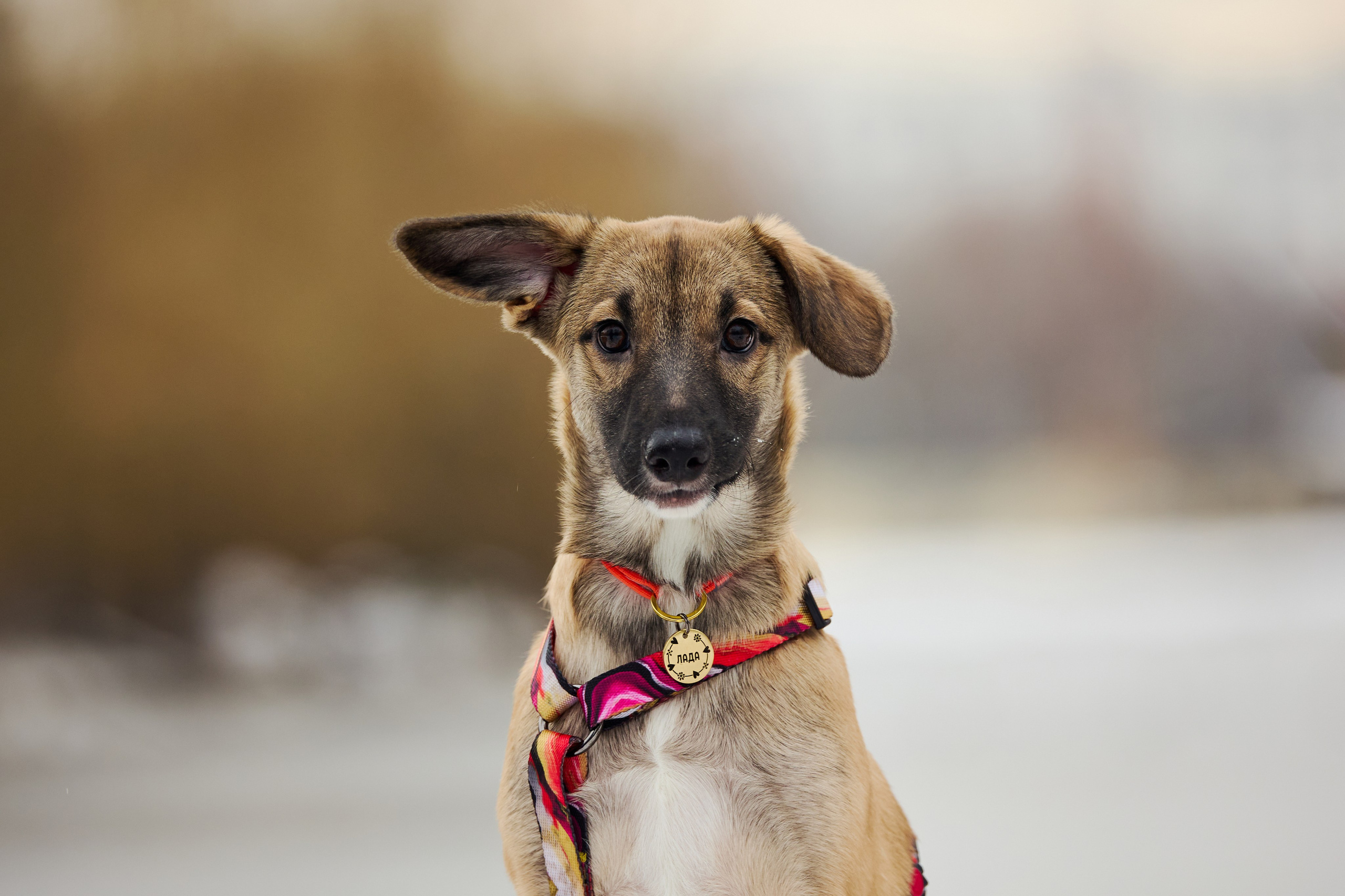 Пиар. Фотограф Ирина Астор