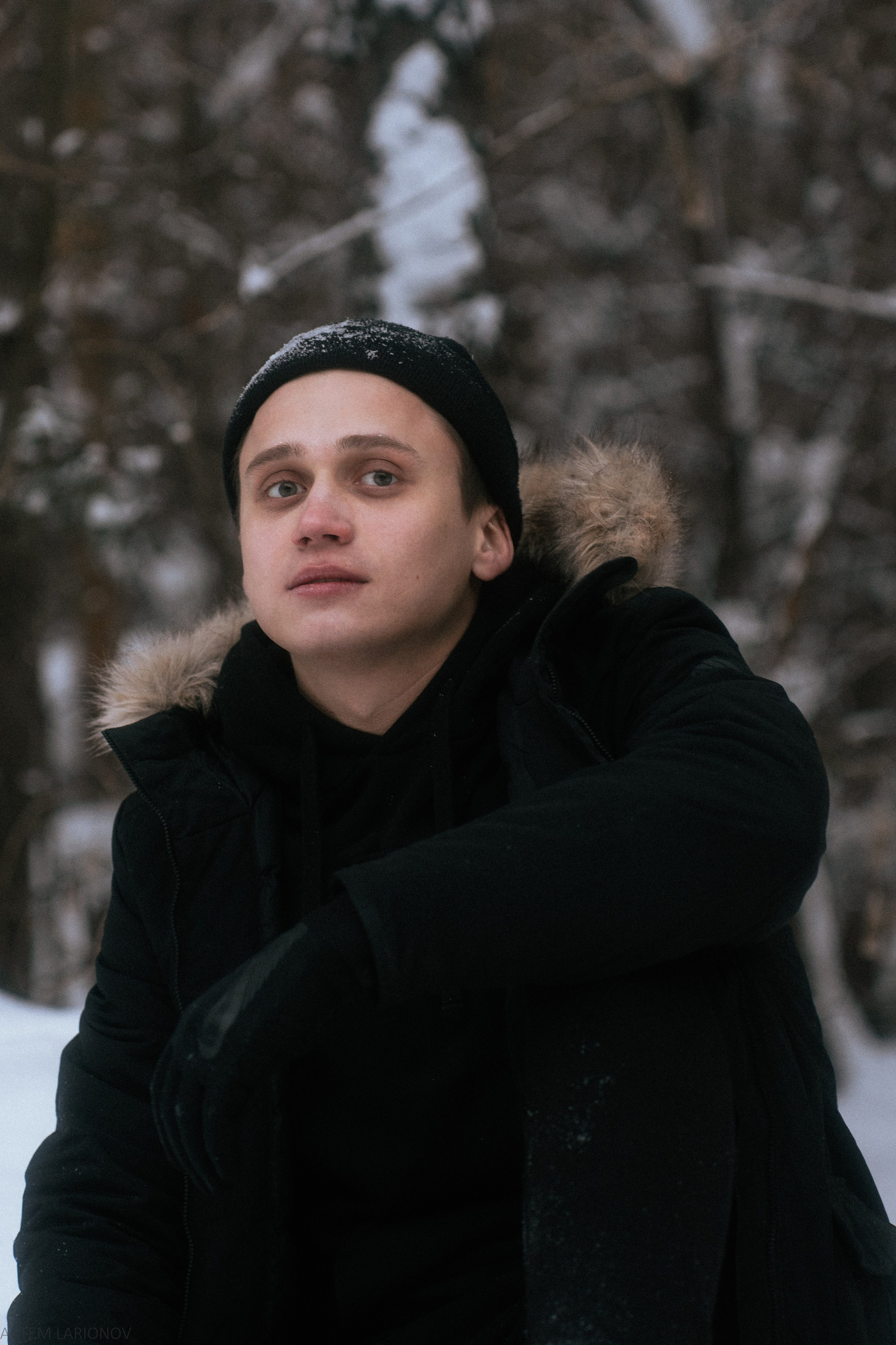 Снежный лес. Фотограф Артем Ларионов