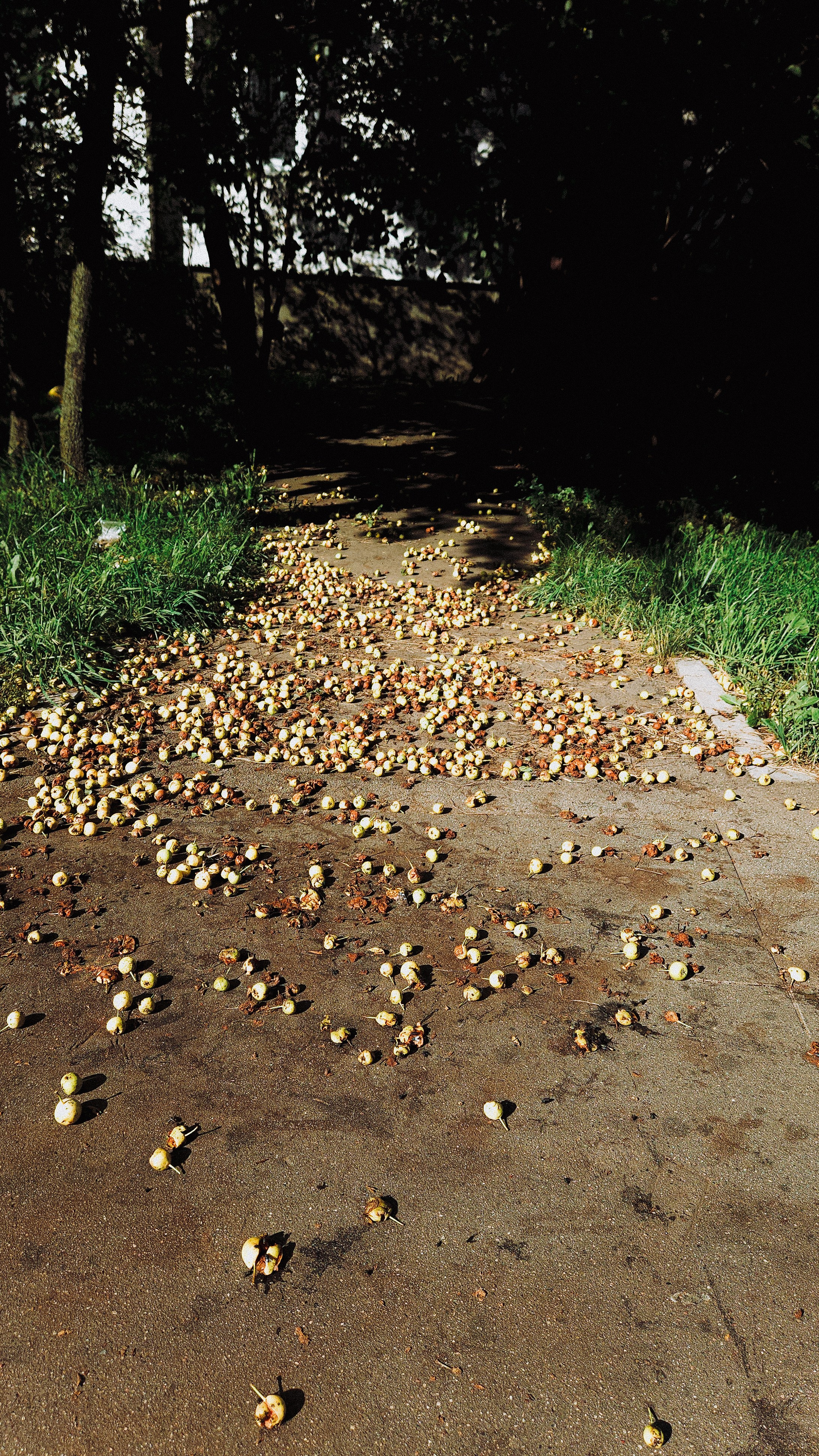 Мастерская. …