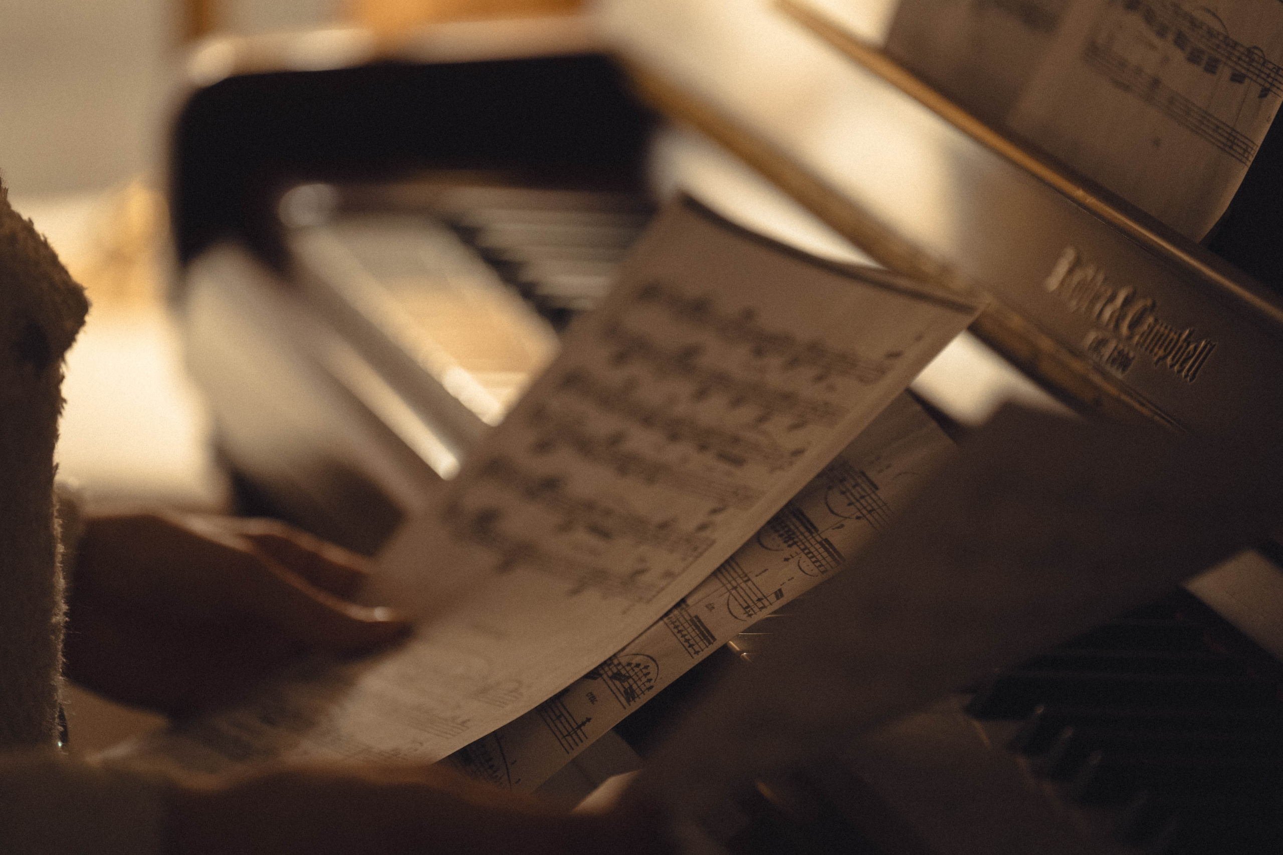 Тая в теплоте. Семейный и свадебный фотограф