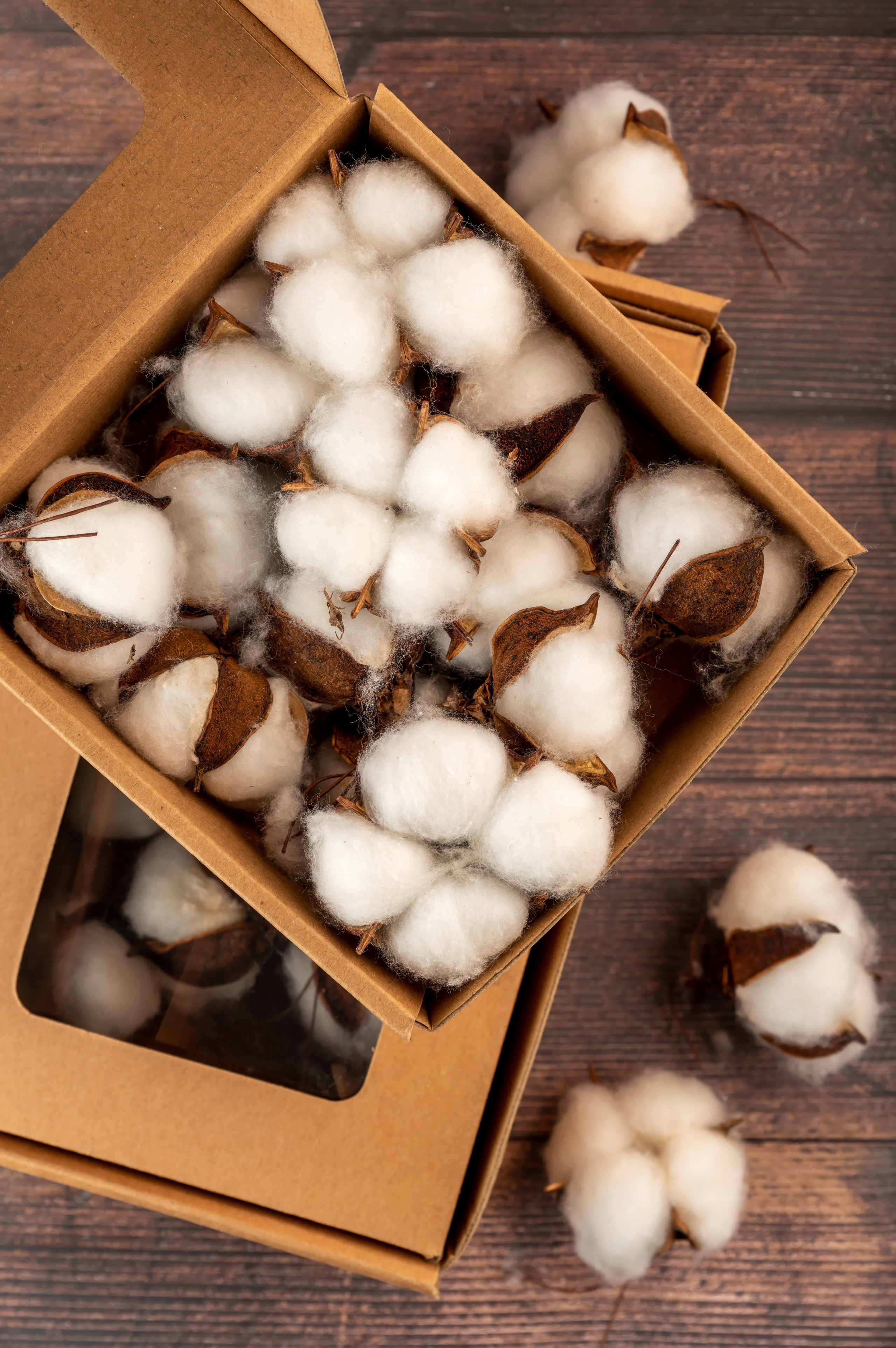 Предметная съёмка для маркетплейсов и каталогов