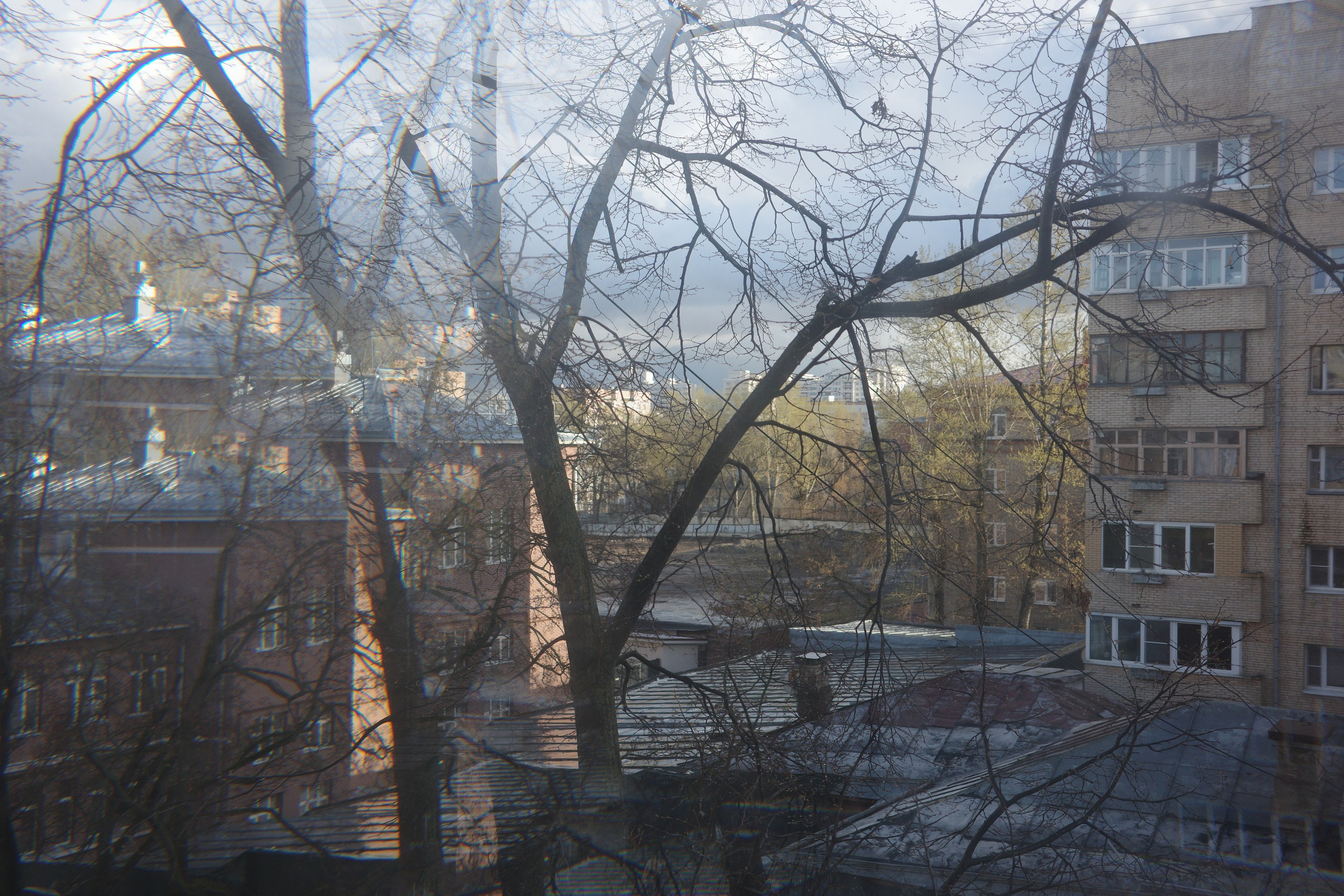 Призма 💎. Миша Печёнкин | фотография