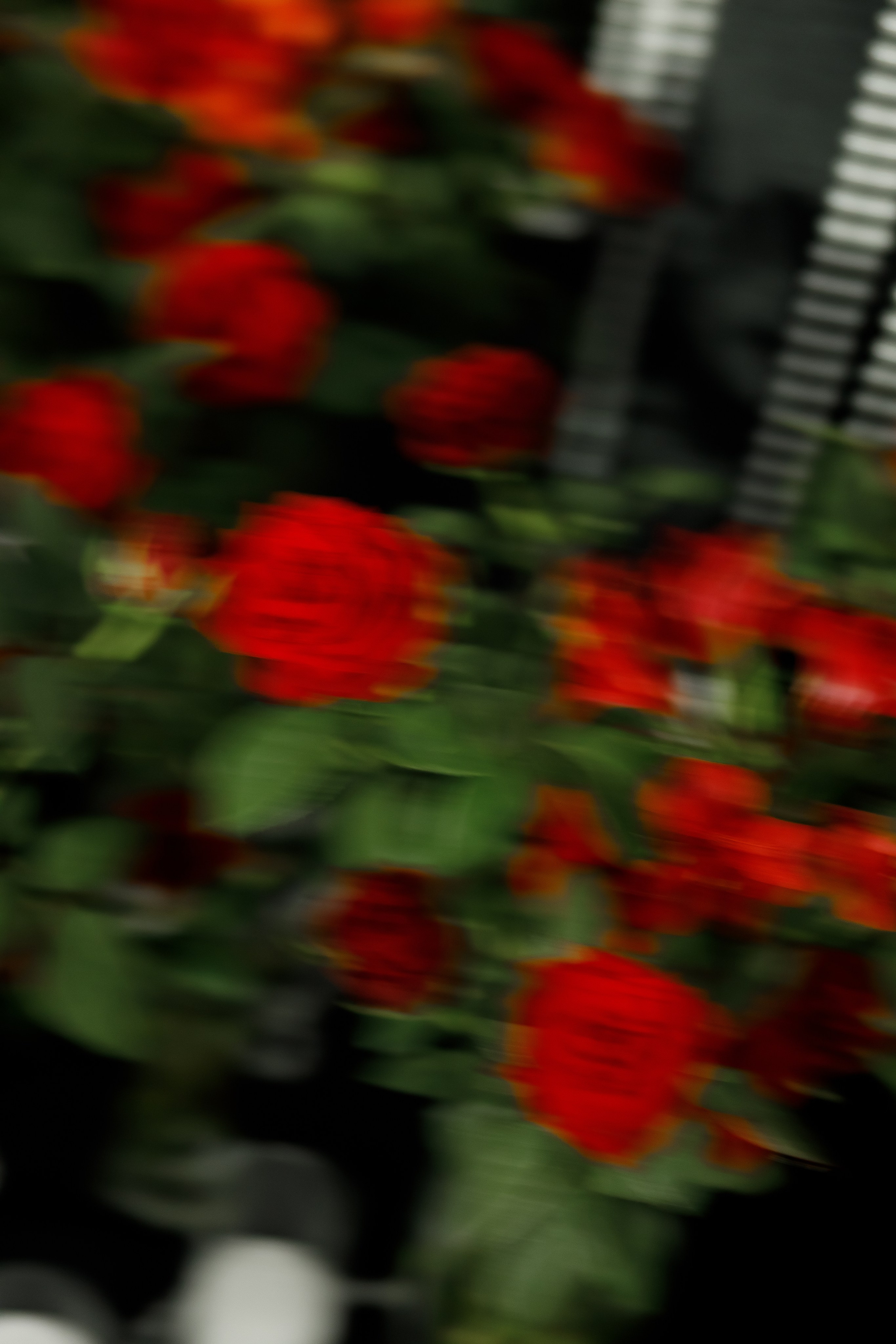 Тигран и Алина. Валеева Виктория | Свадебный фотограф в Ростове-на-Дону и Москве