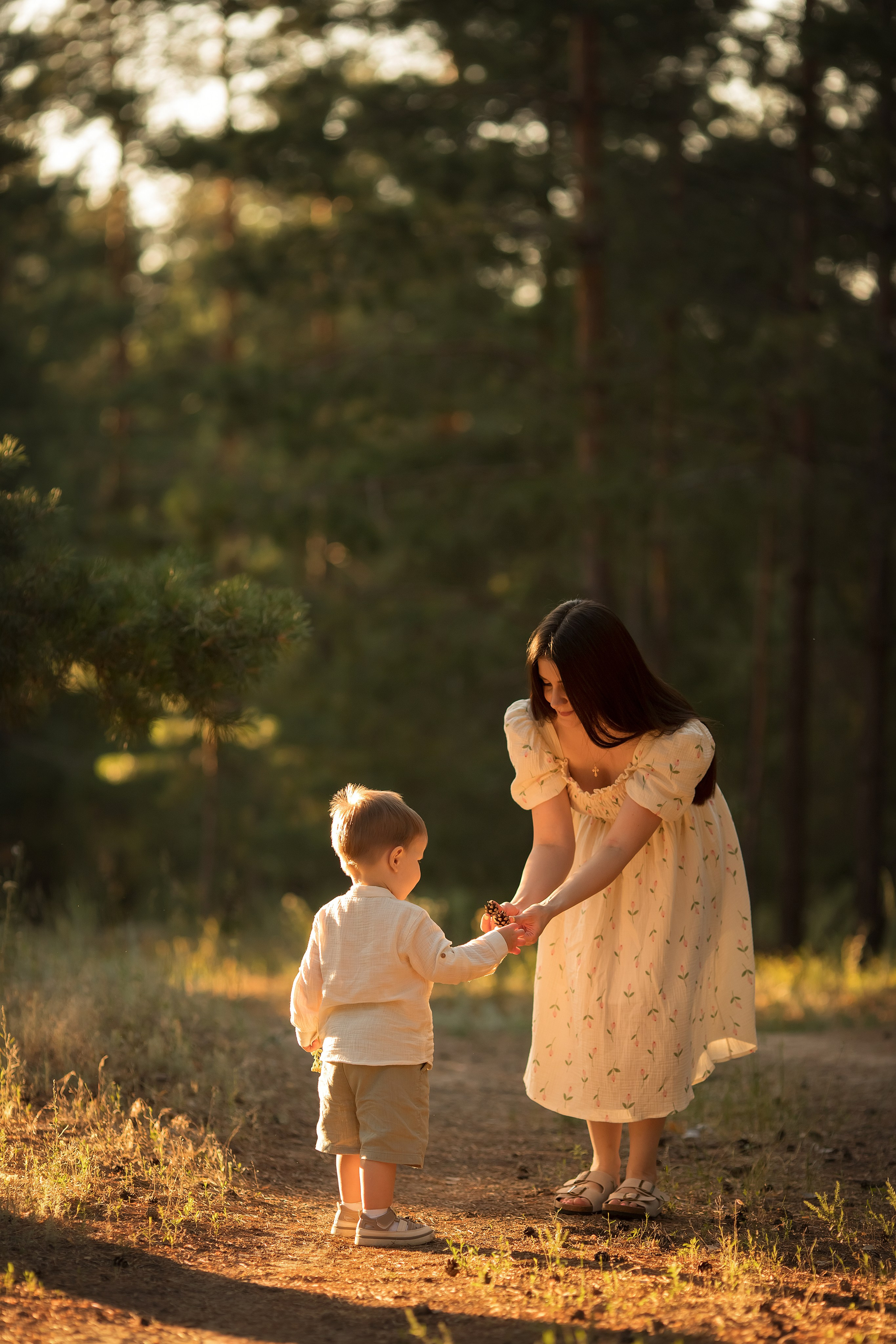 Солнечный лес. Семейный и детский фотограф в Саратове Полина Коткина