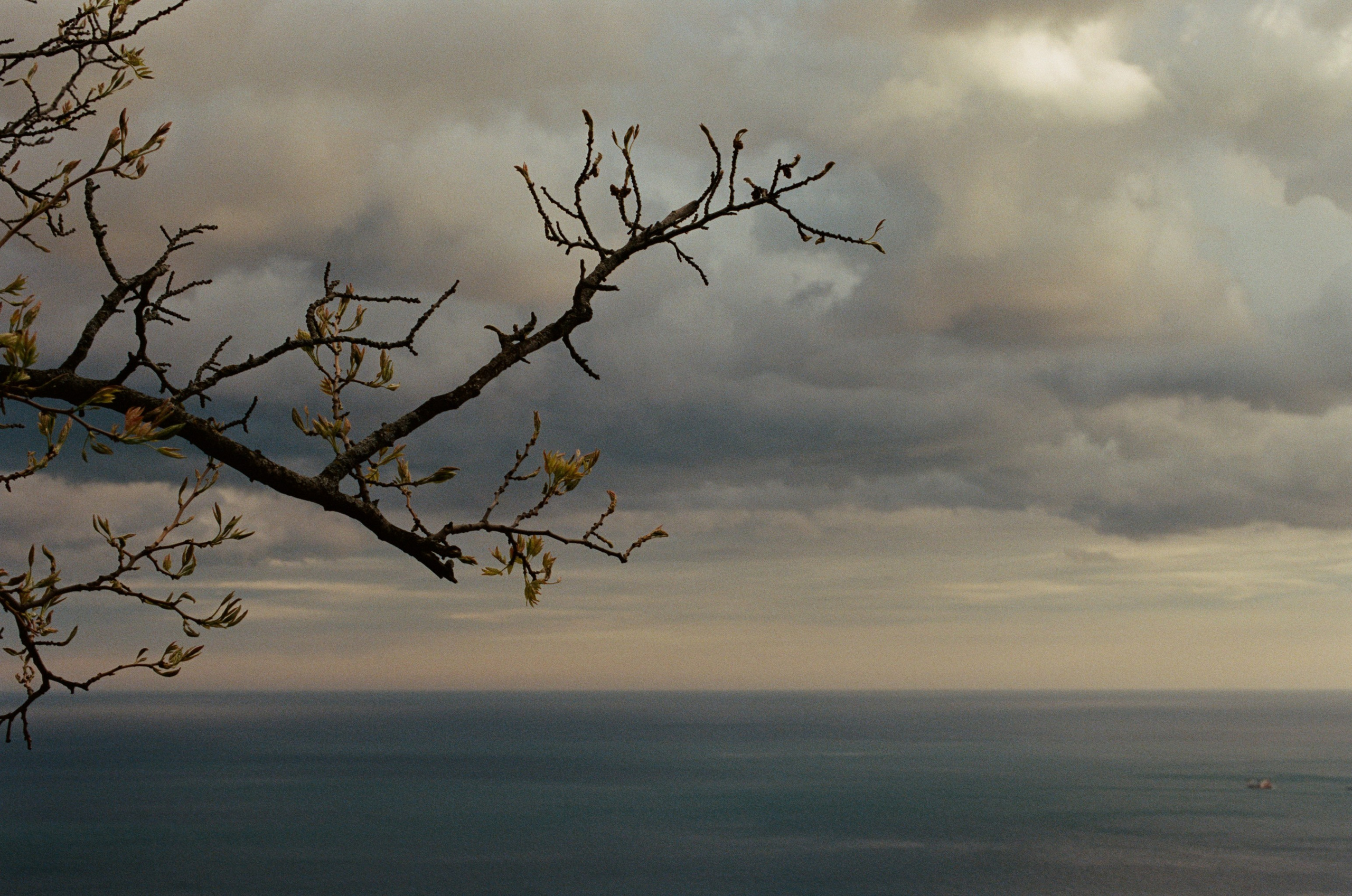Silent running // ukraine, crimea II. EVER EXPOSED