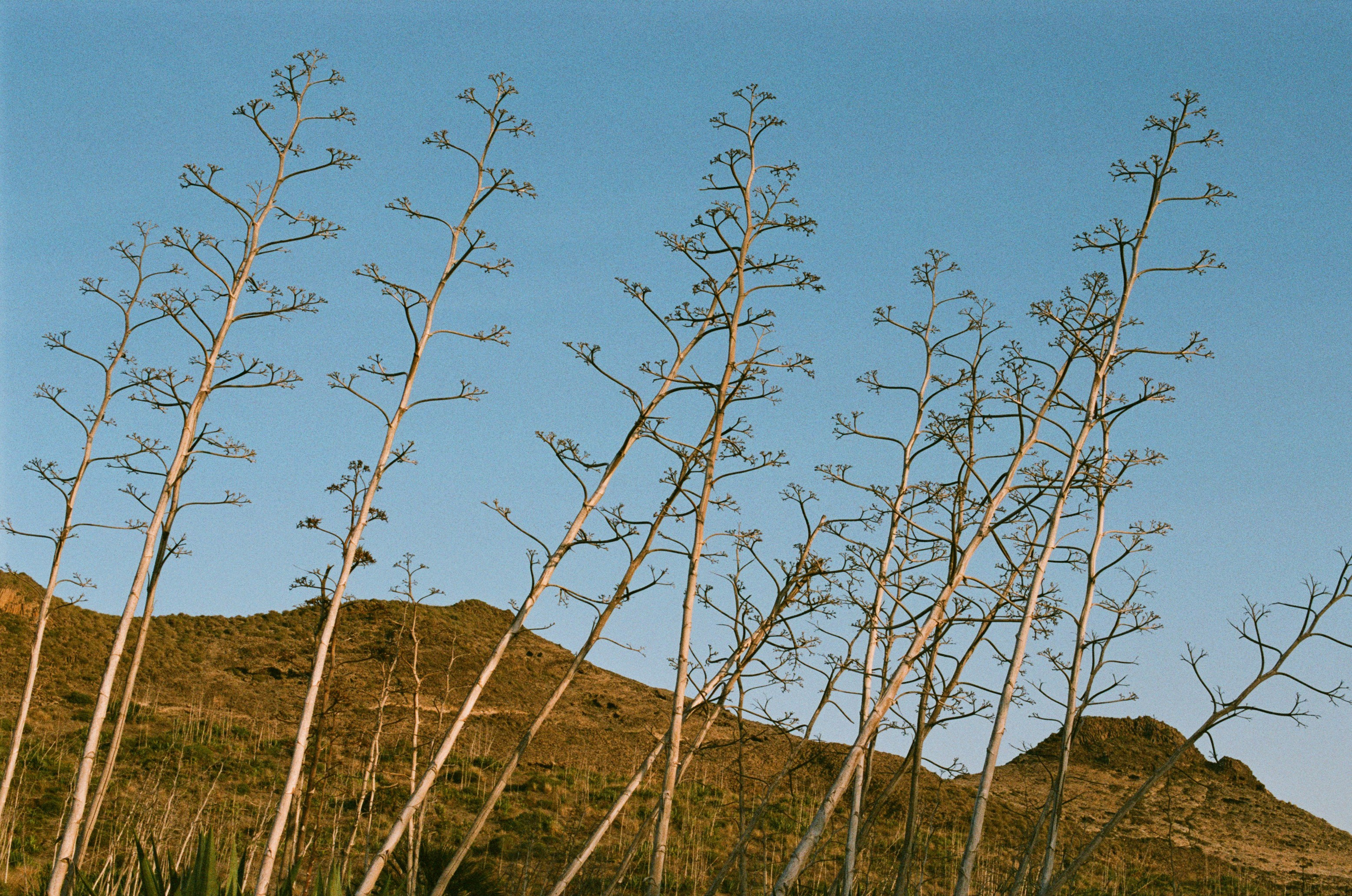 Spanish sahara // spain, cabo de gata II. EVER EXPOSED