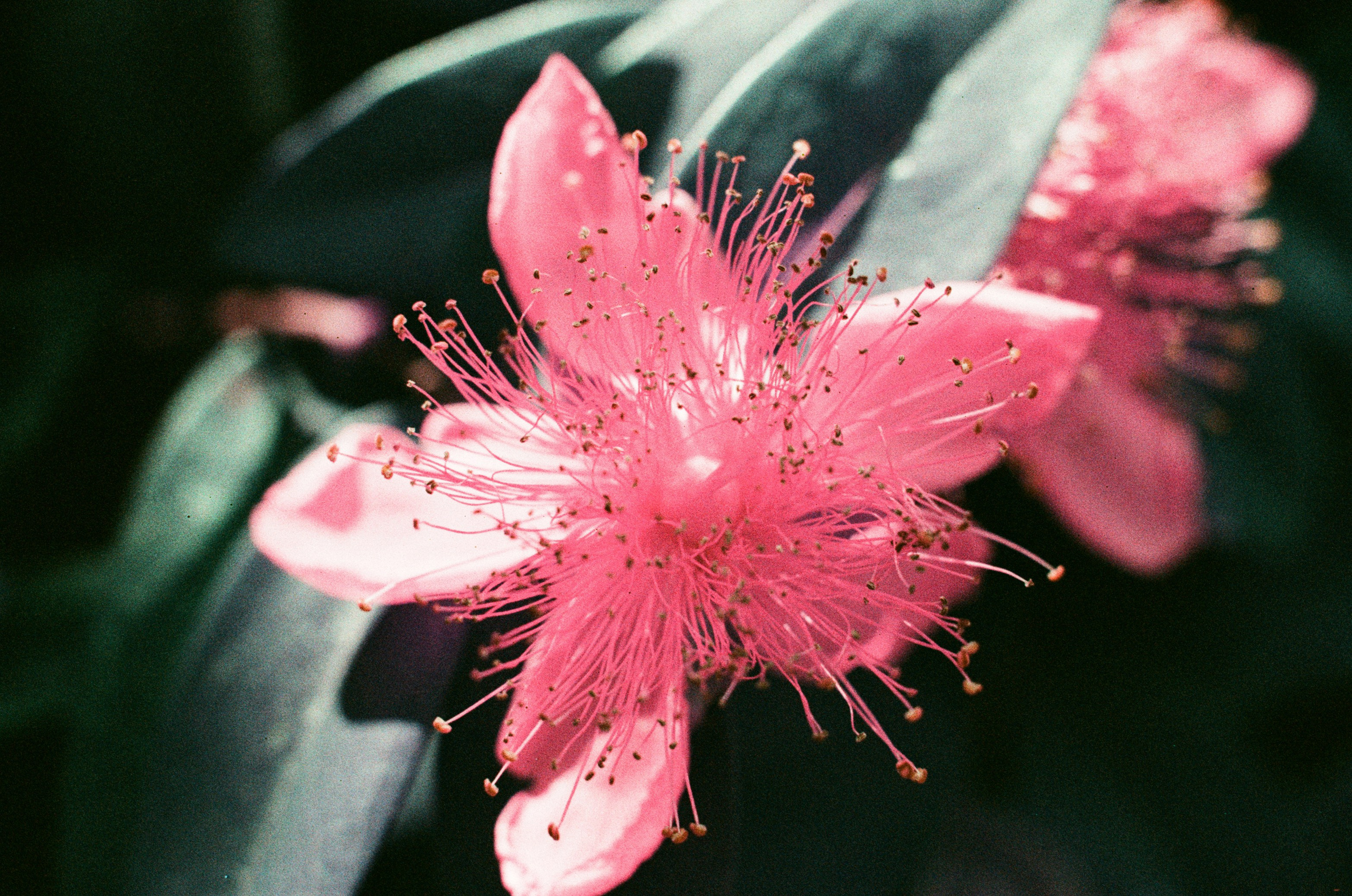 Point of no reply // ukraine, crimea VIII. EVER EXPOSED