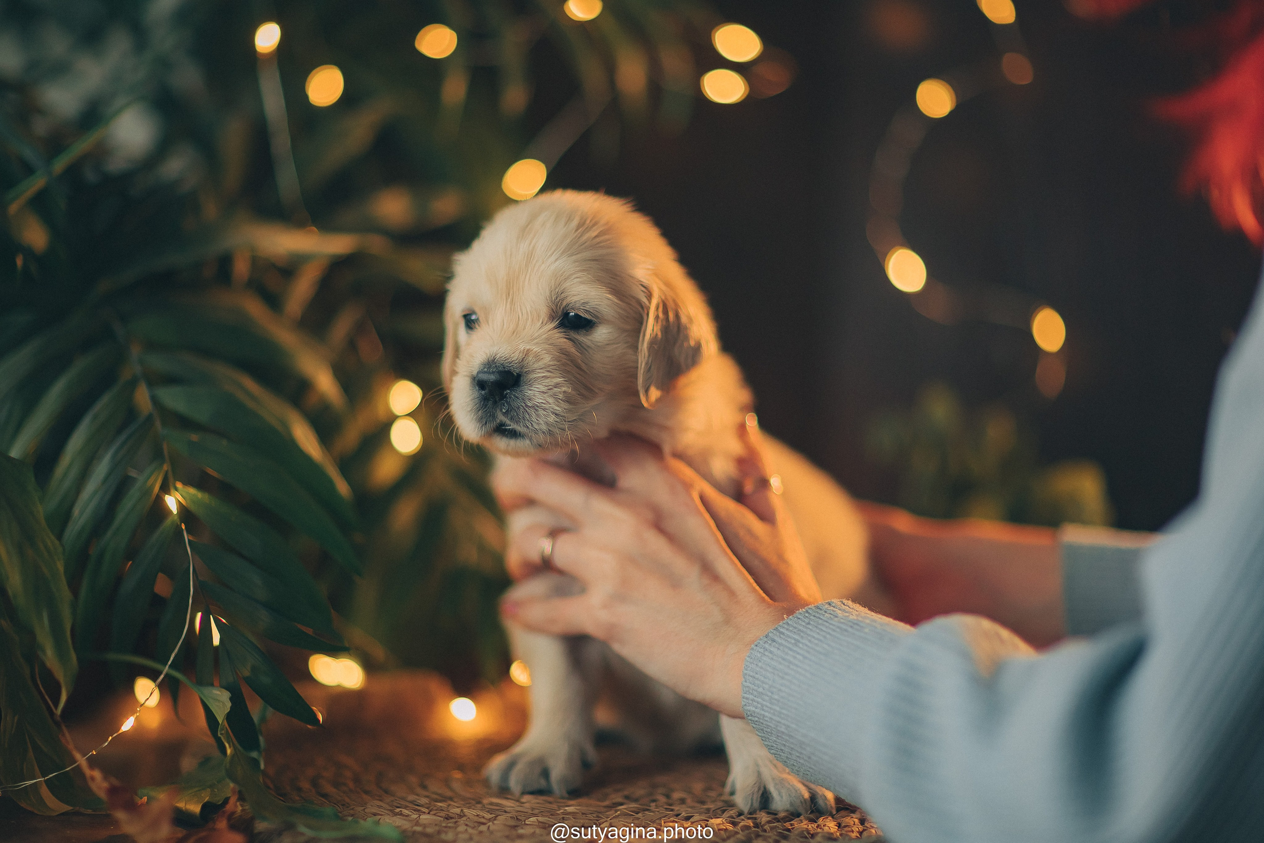Серая лента. Свадебный и женский фотограф