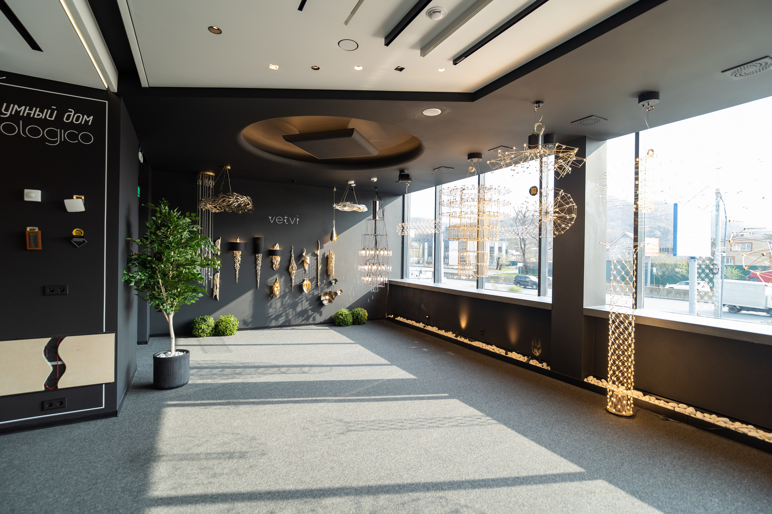 ARGUS VDK. Фотограф Хабаровск