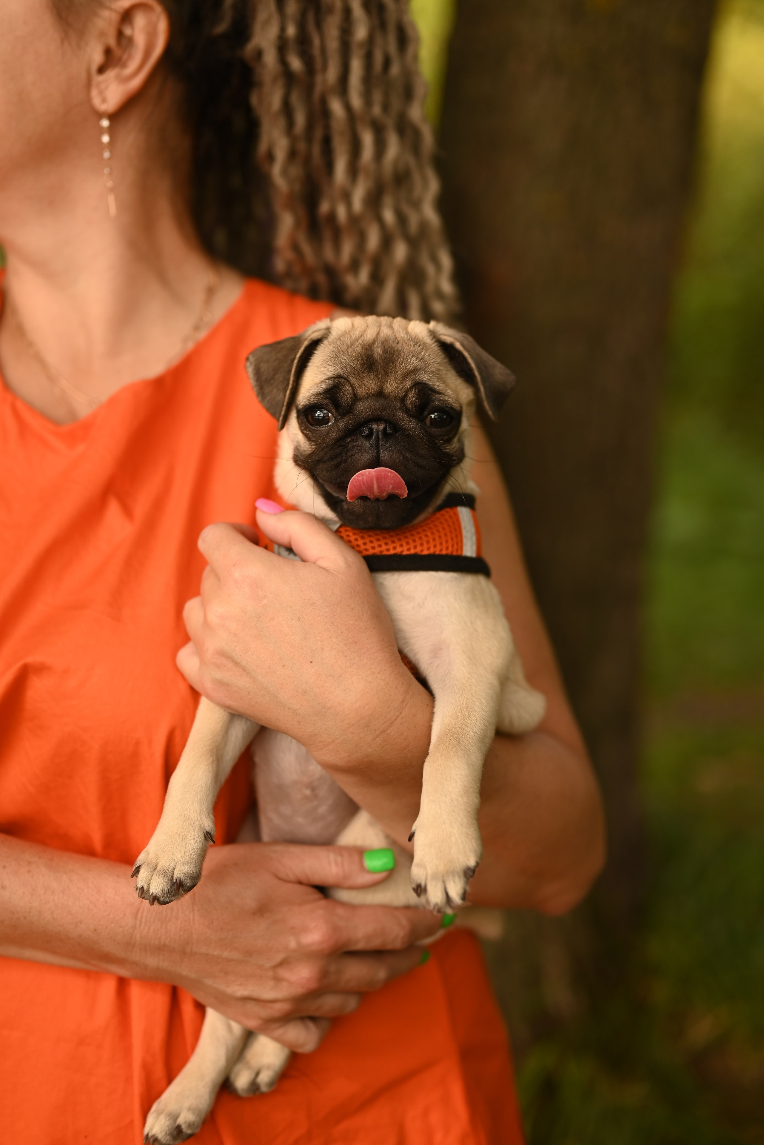 С Бонитой. Фотостудия Зефир. Фотосессии в студии под ключ. Москва. Семейные и детские фотосессии