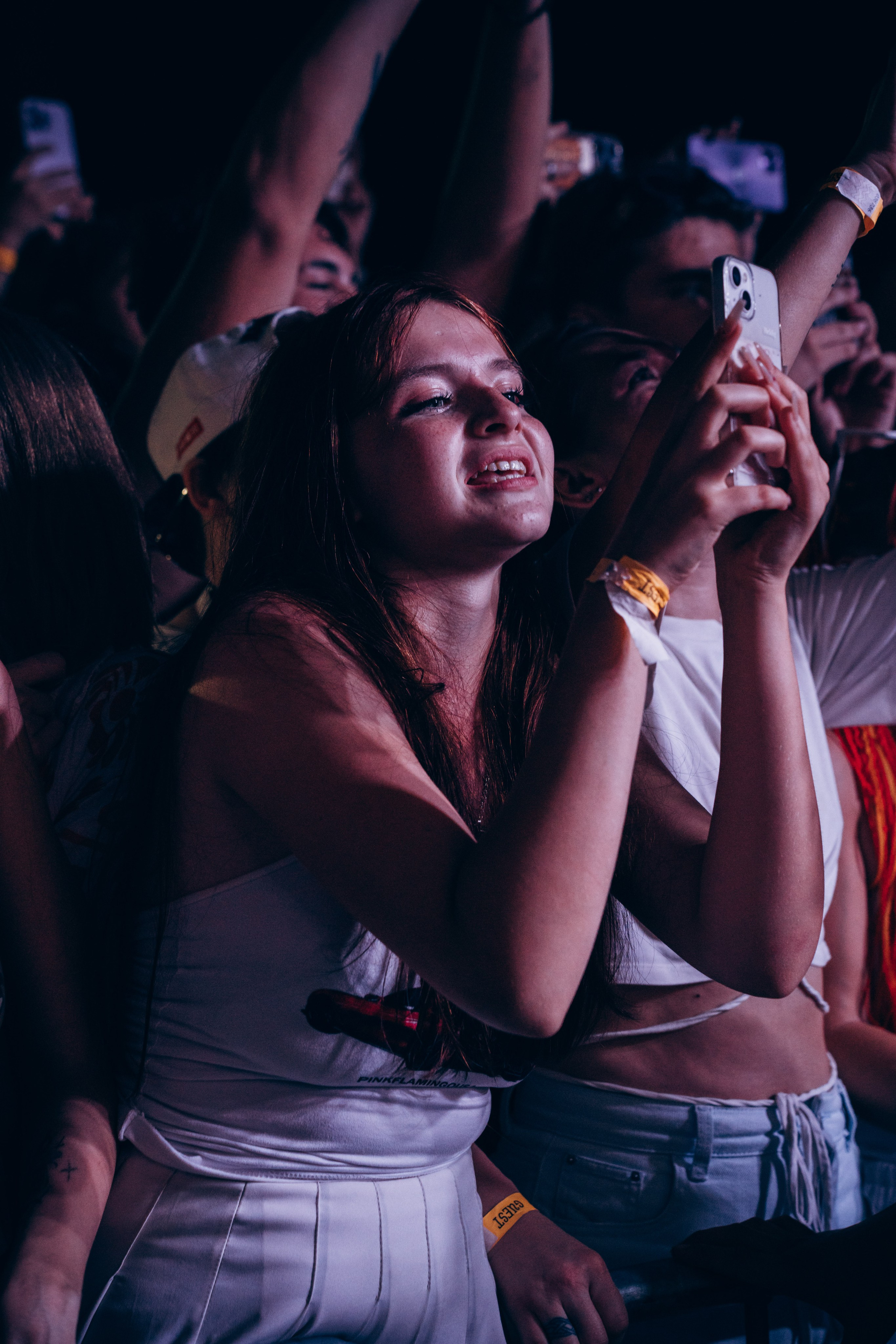 Picnic by partners. Главная