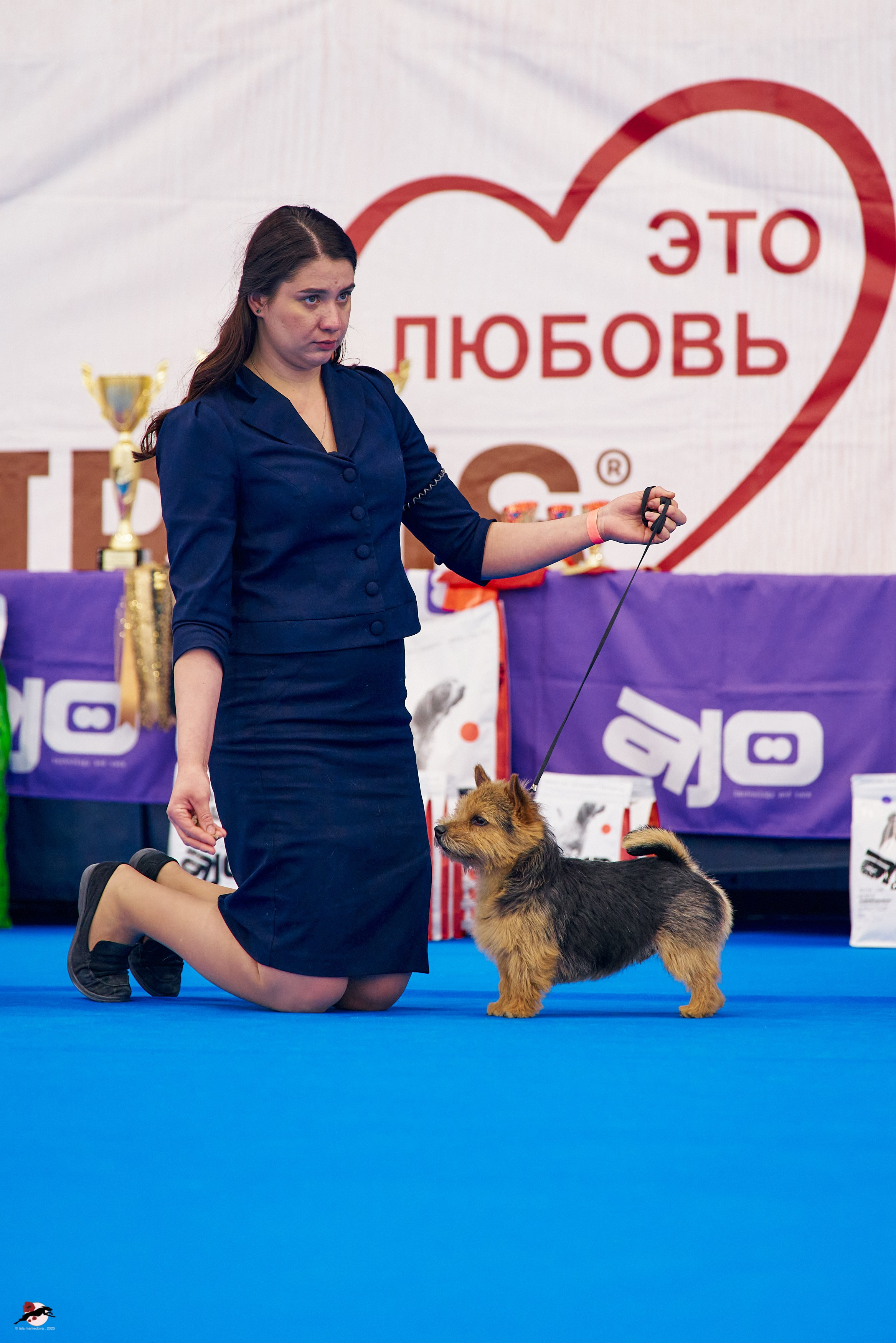 27.04.2025 | "Петербург-Элита 2025" & «КУБОК «ЭЛИТЫ»-2025»