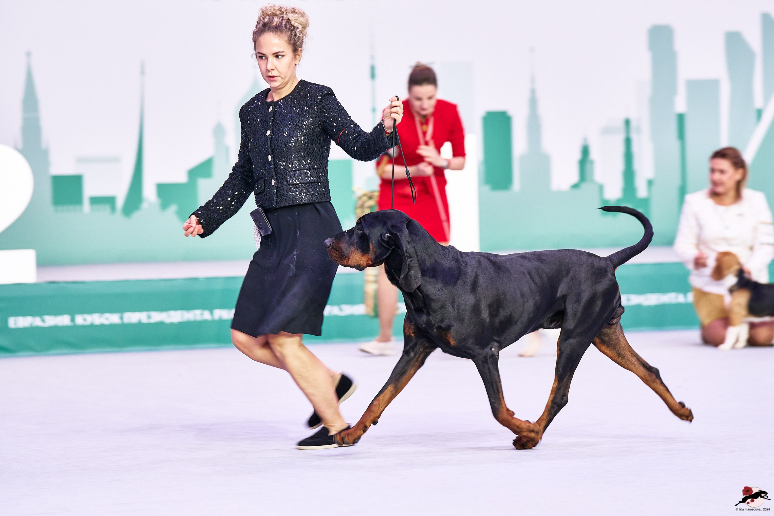 16.11.2024 «ЕВРАЗИЯ. КУБОК ПРЕЗИДЕНТА РКФ 2024»