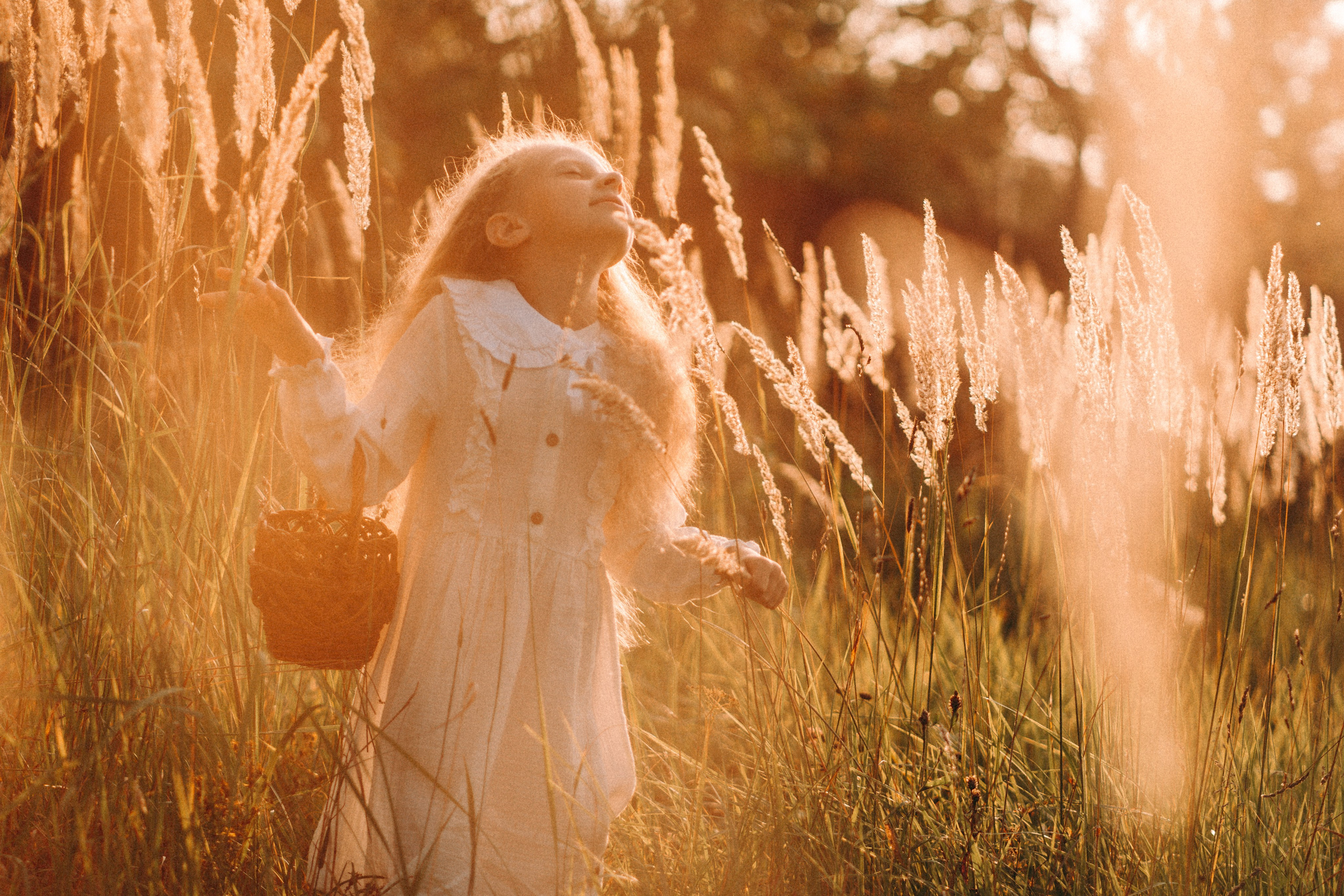 Летнее золото в волосах. Главная