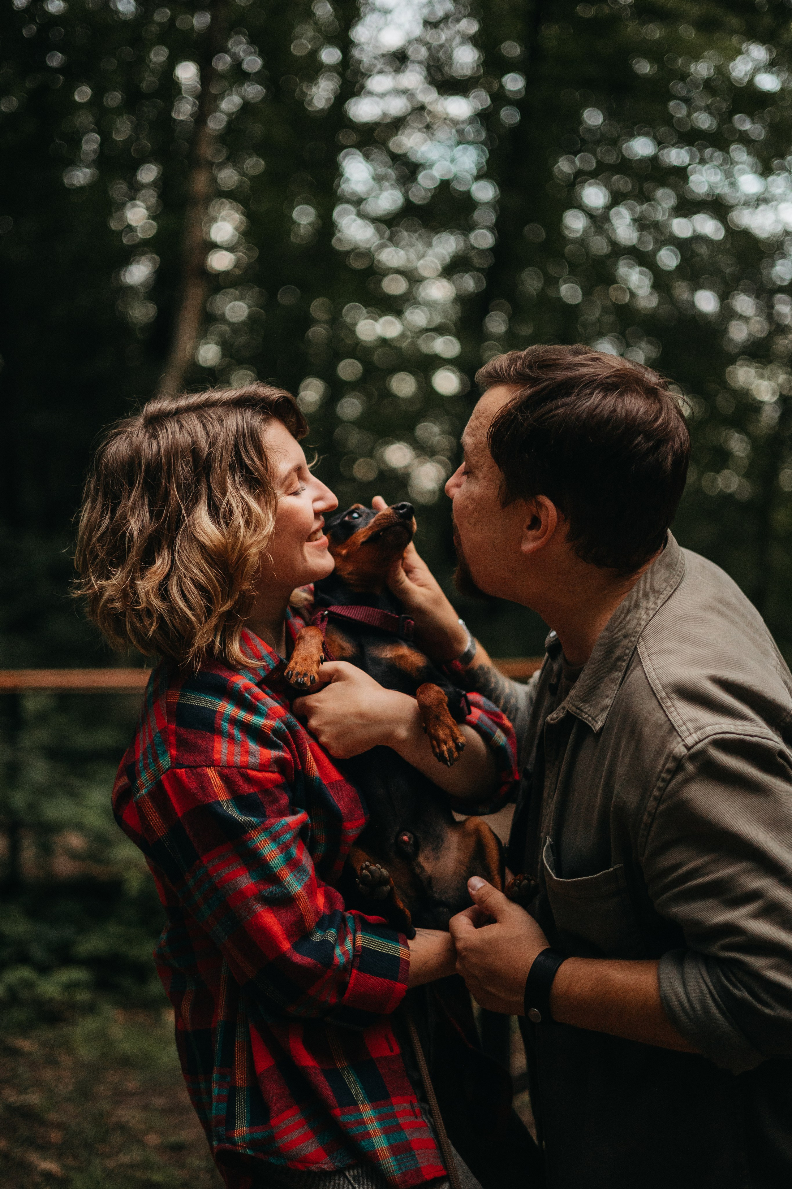 Сириус и его семья. Фотограф — Анималист | Санкт-Петербург