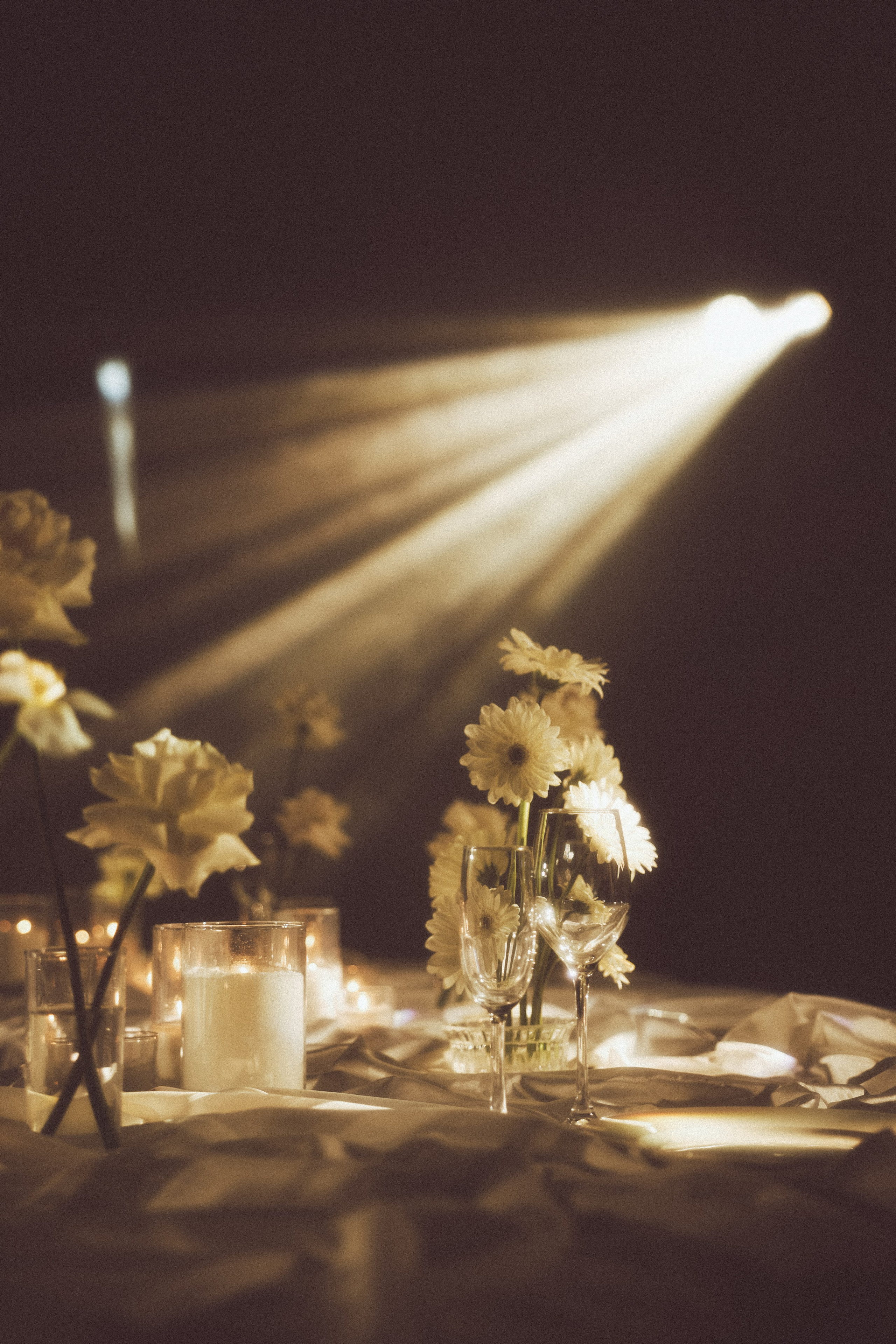 Вероника & Максим. Phdkvmr.ru