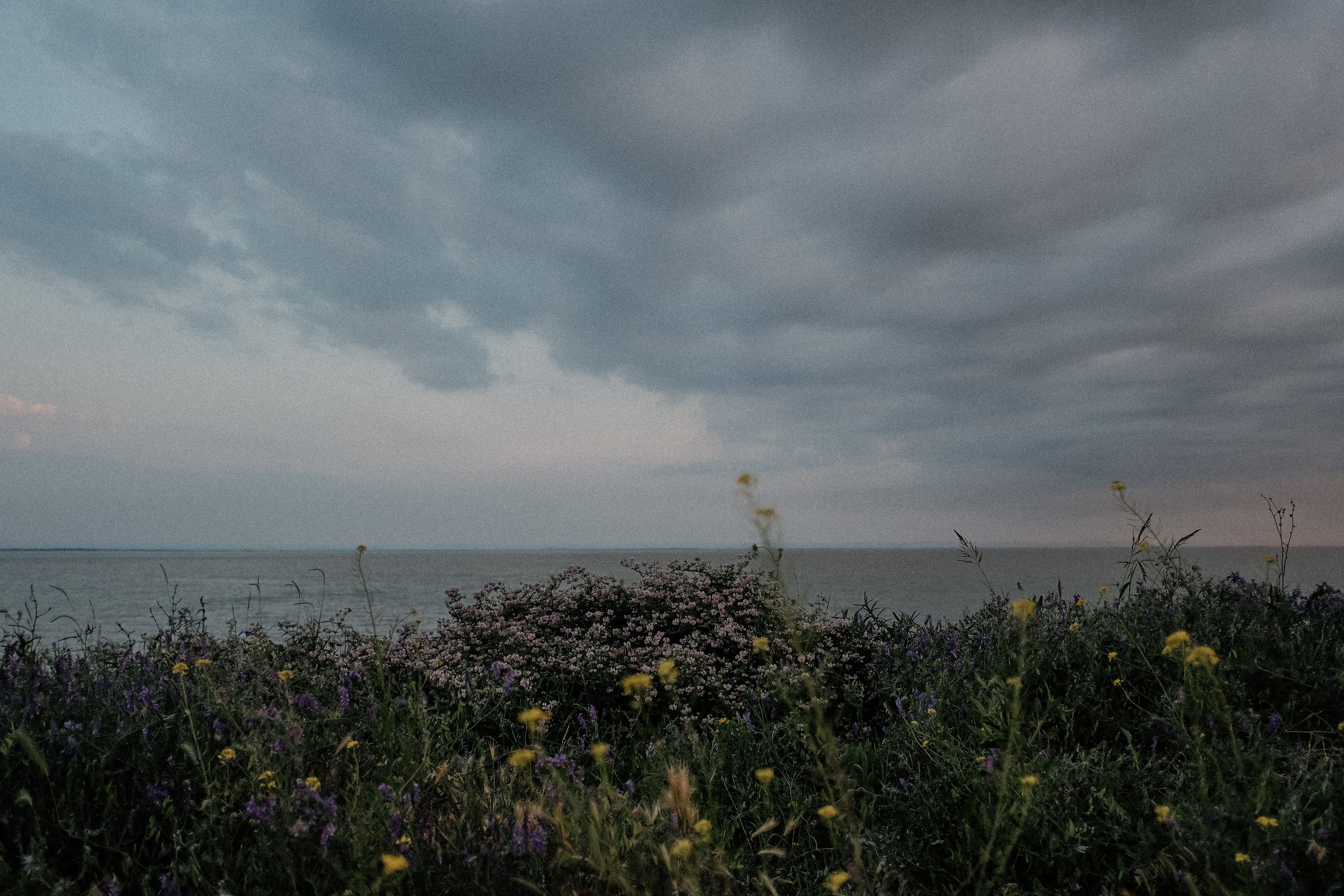 Люда. Женский и семейный фотограф в Краснодаре и крае Таня Мустафина