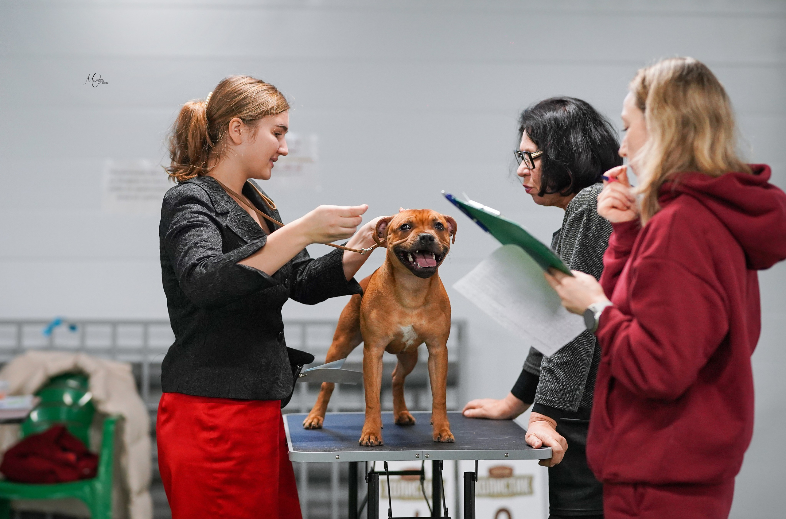 Выставки 2024. Фотограф-анималист в Санкт-Петербурге Яна Мартынова