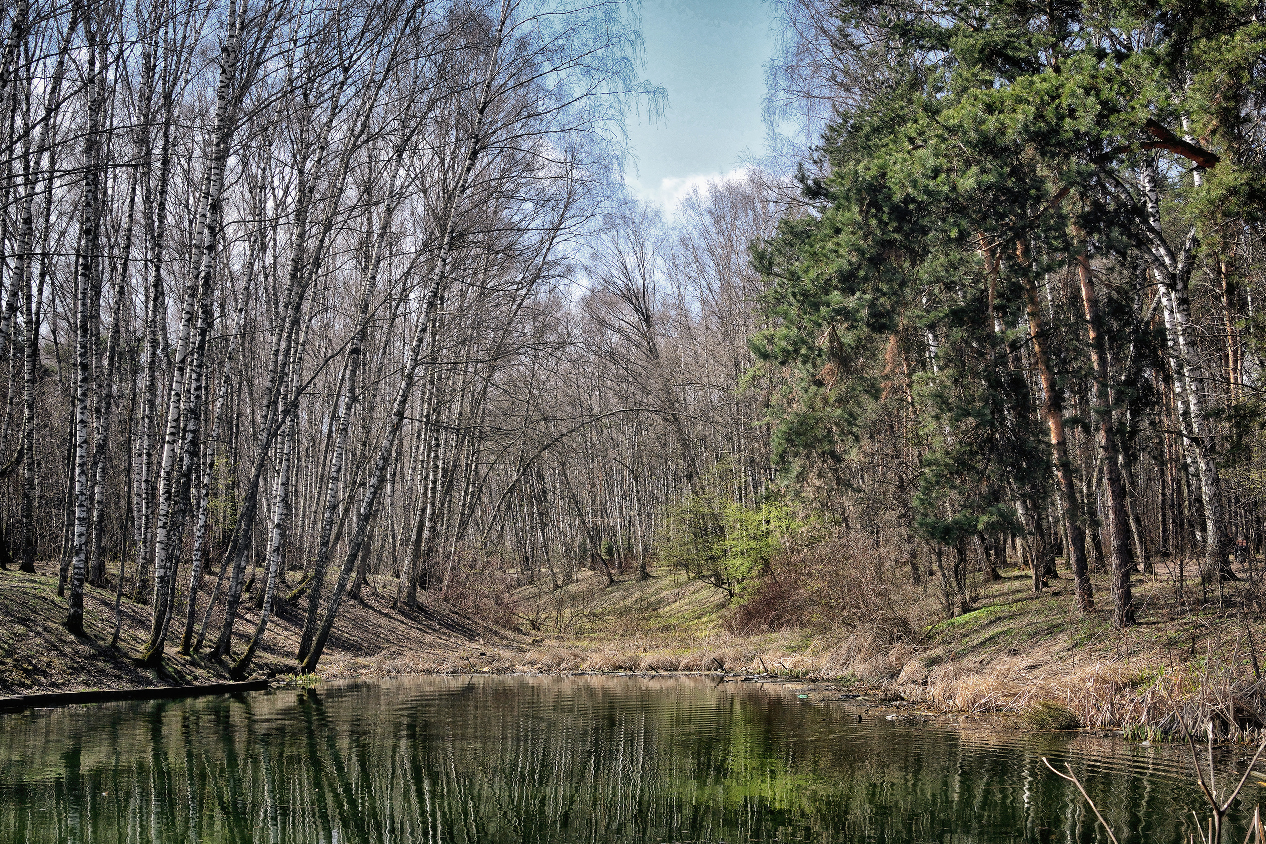 Пейзажи. Свадебный фотограф Олег Шатохин  Москва и Московской область