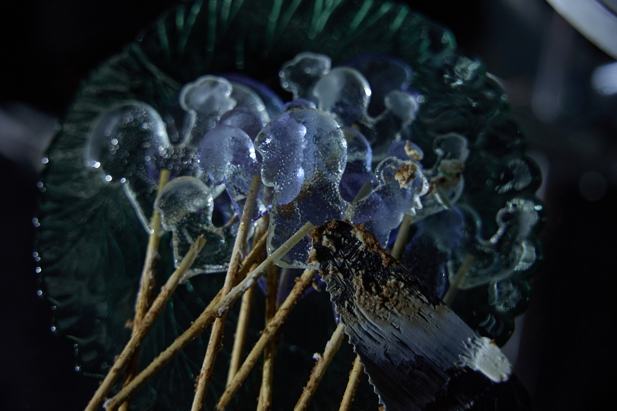 Максим и Софья. Kharchenkotatianaweddingphoto