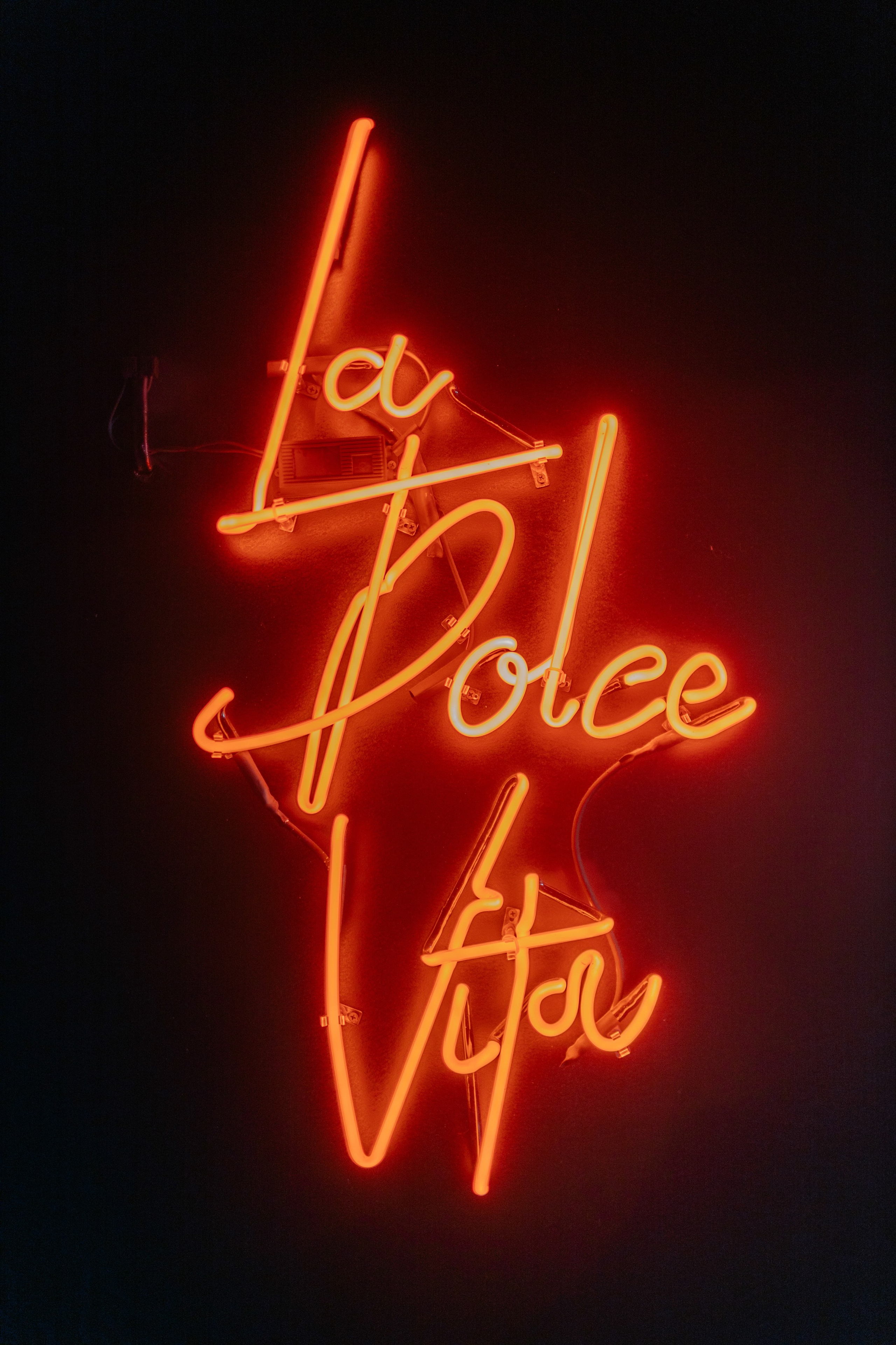 Биба и Боба. Портфолио свадебного фотографа. Роман Каргаполов