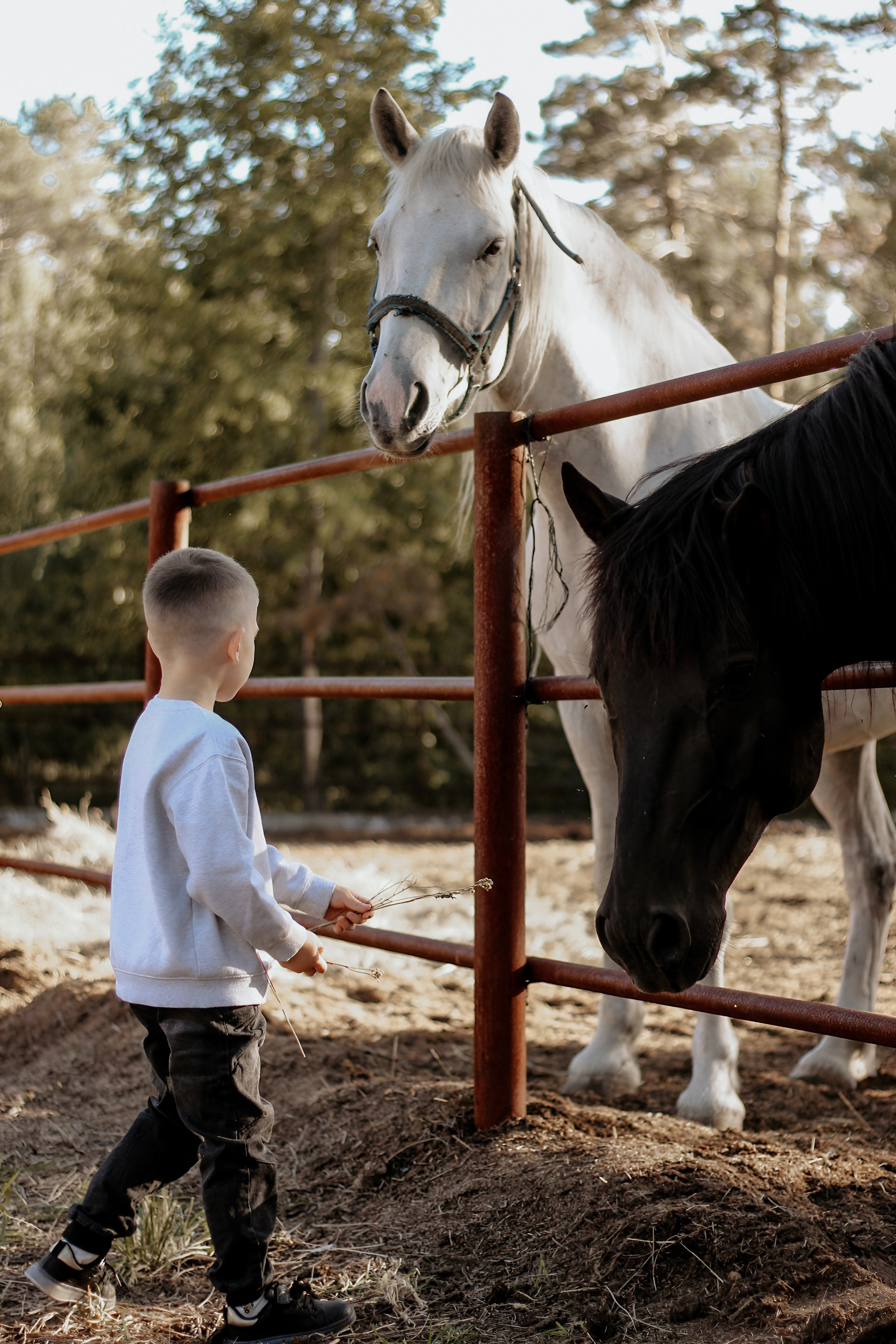 Семейный. Фотограф Иванова Елена в Иркутске