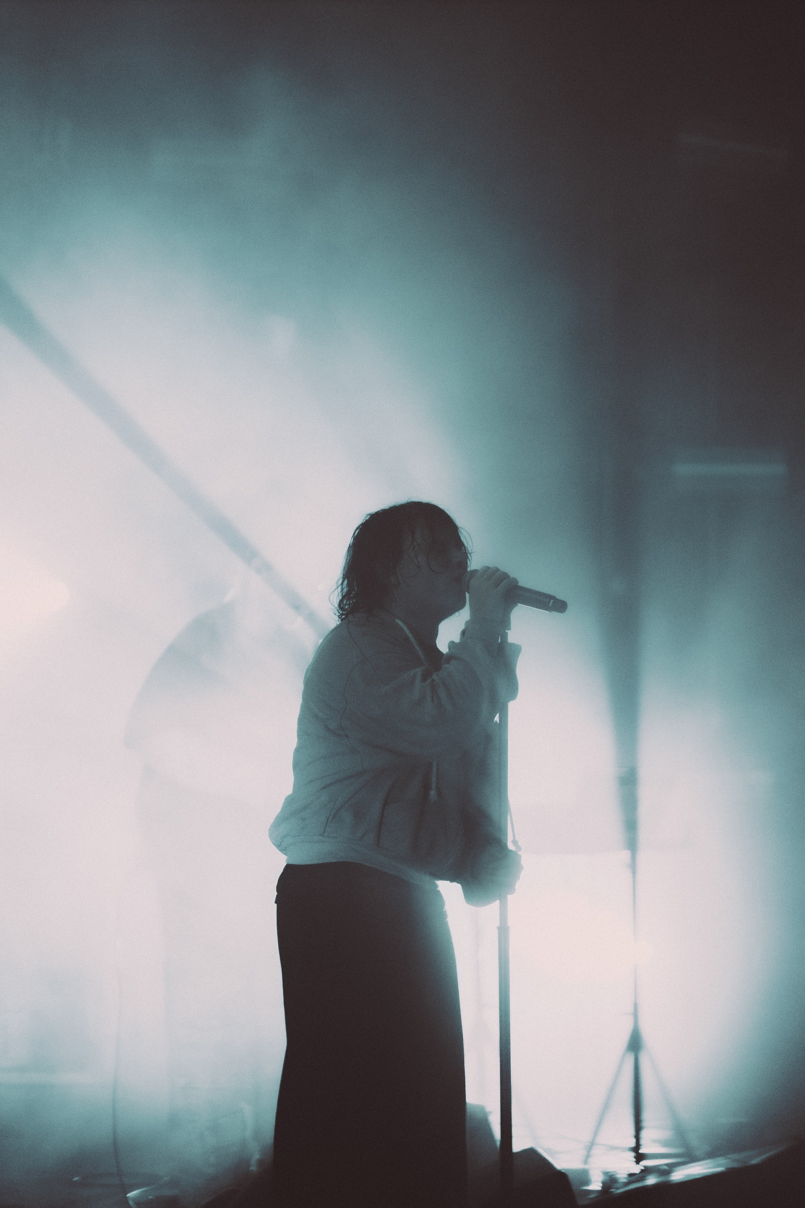 SALUKI. PASHAHARCE PHOTOGRAPHER & VIDEOGRAPHER