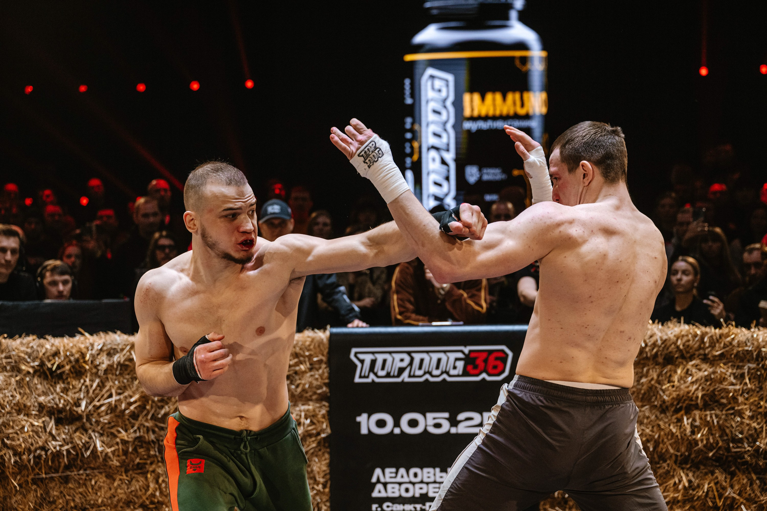 TOP DOG 2. Максим Комаров — Профессиональный фотограф