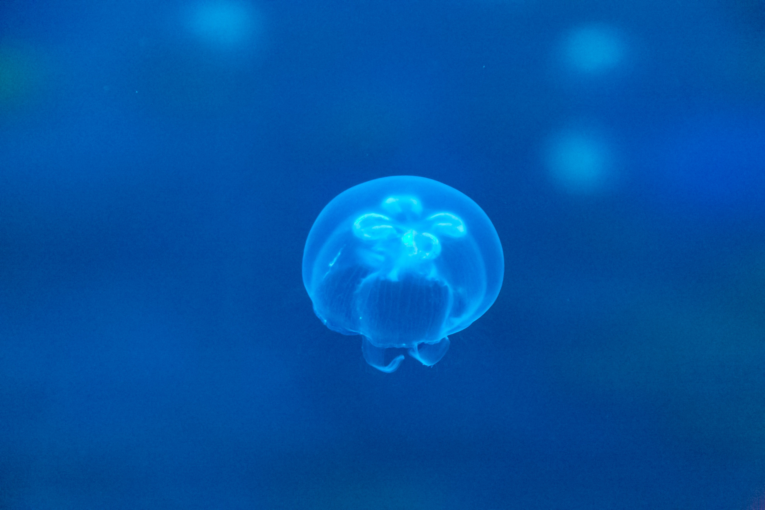 Светлая сторона